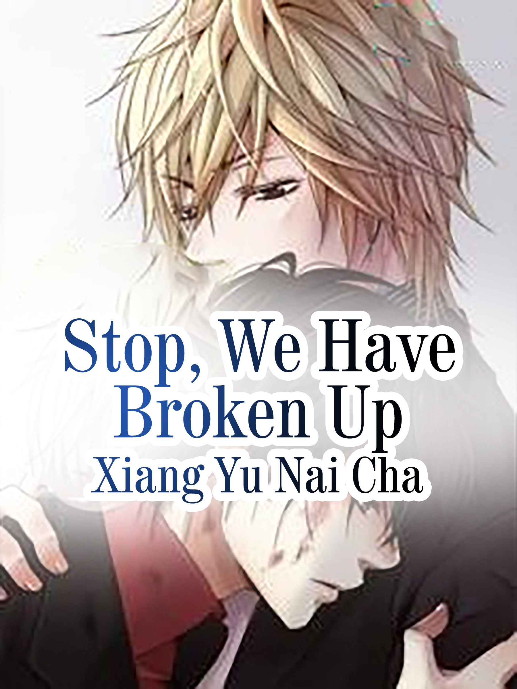 Cover image for Stop, We Have Broken Up