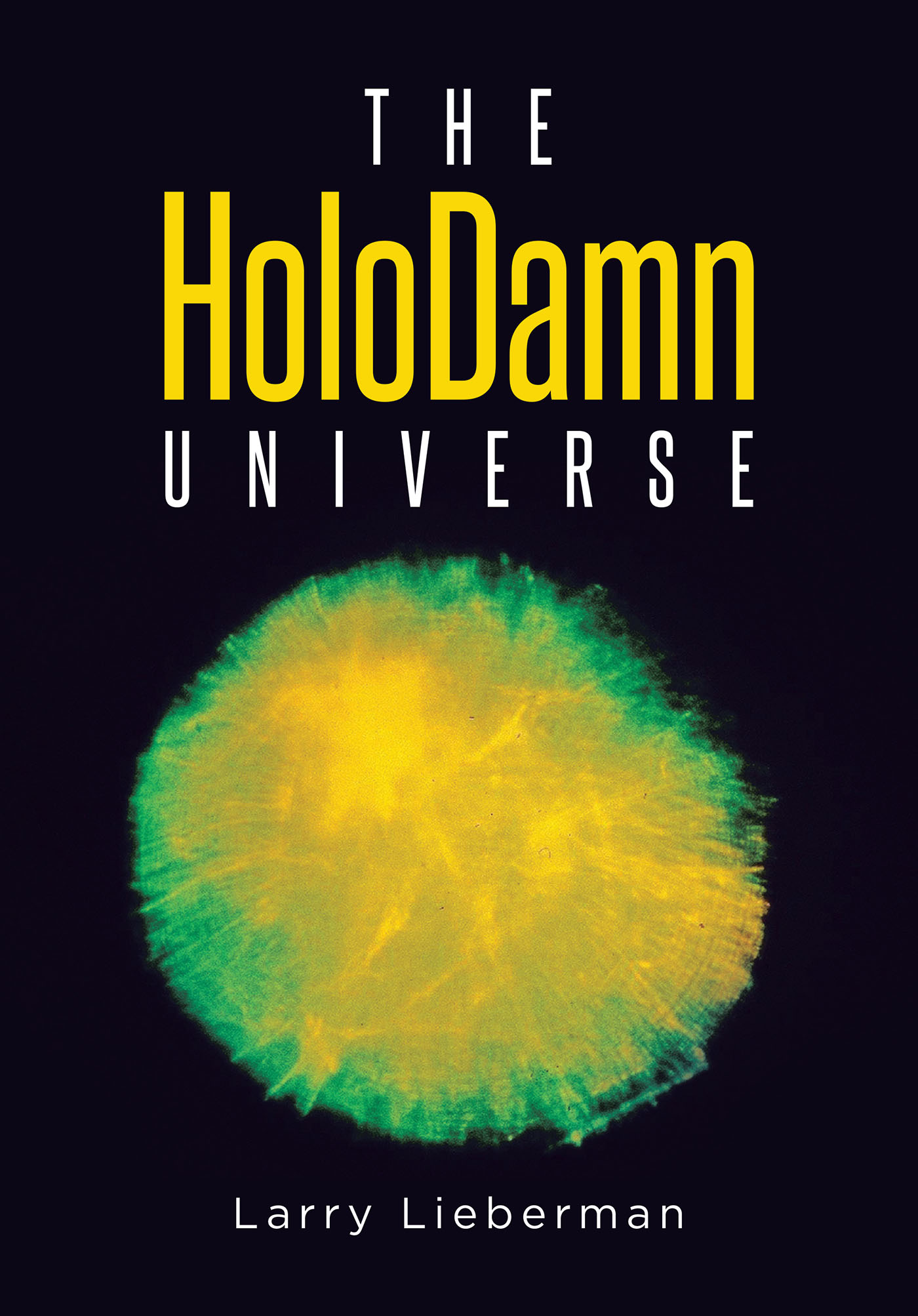 Cover image for The HoloDamn Universe