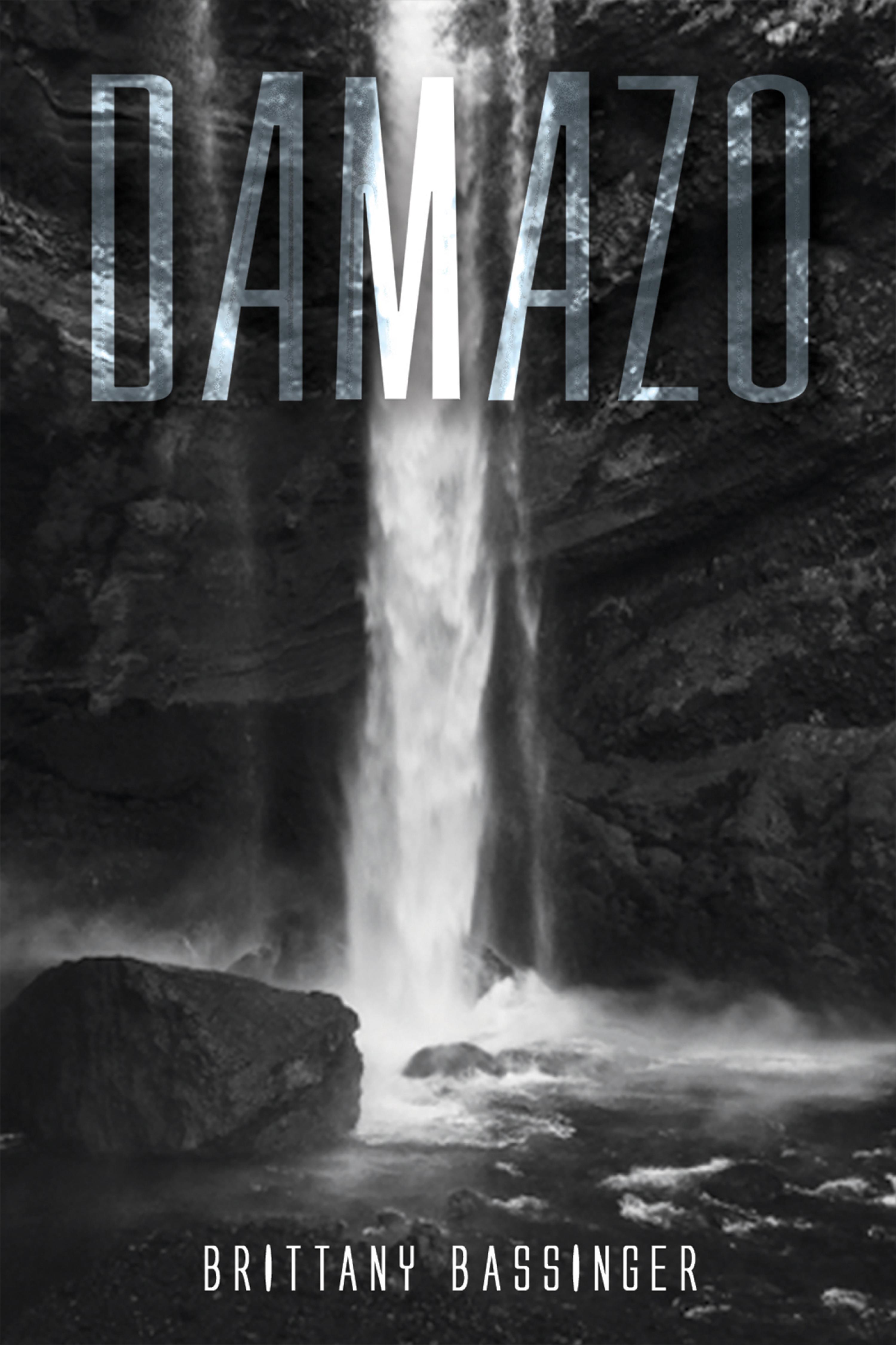 Cover image for Damazo
