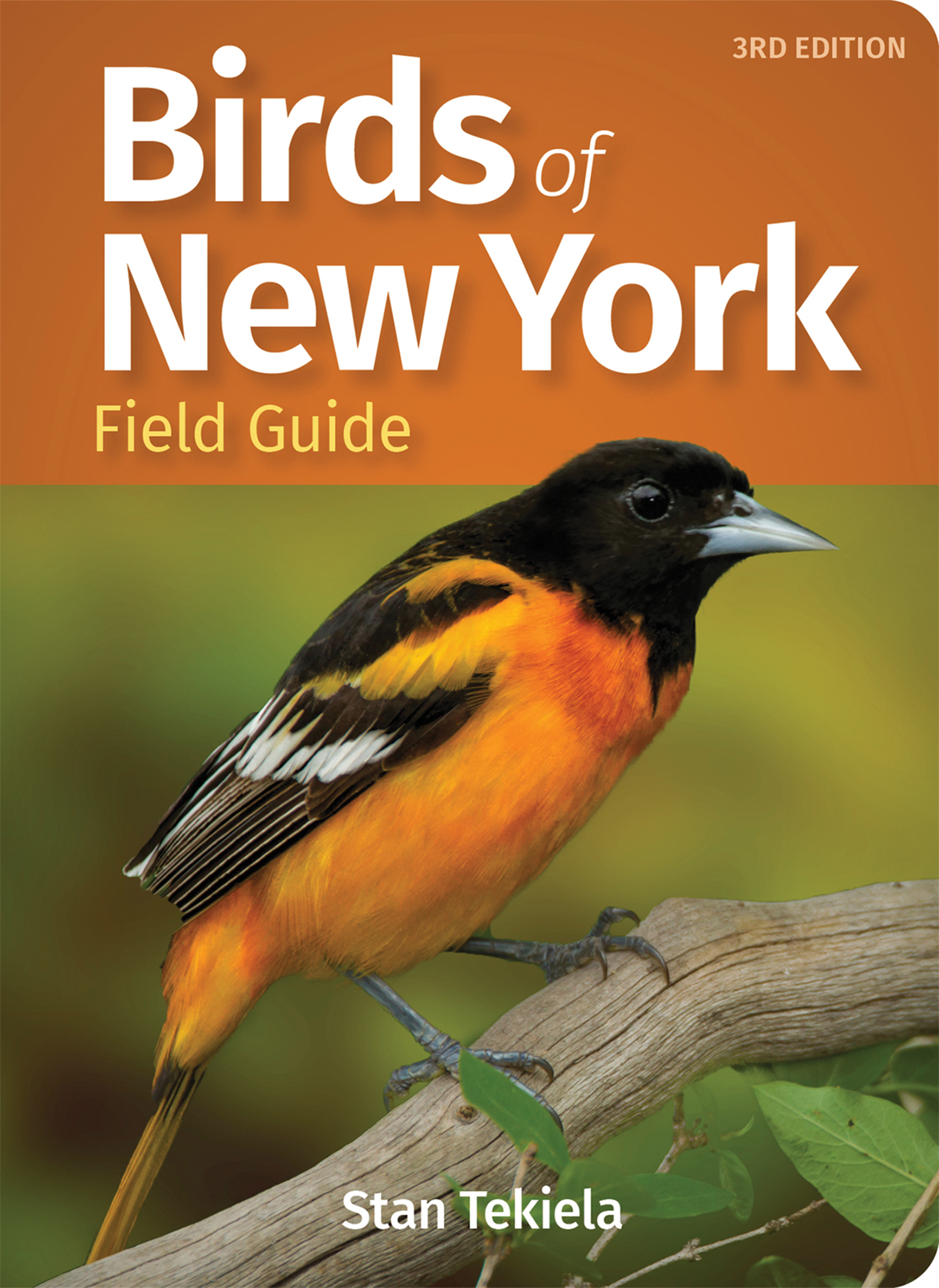 Cover image for Birds of New York Field Guide