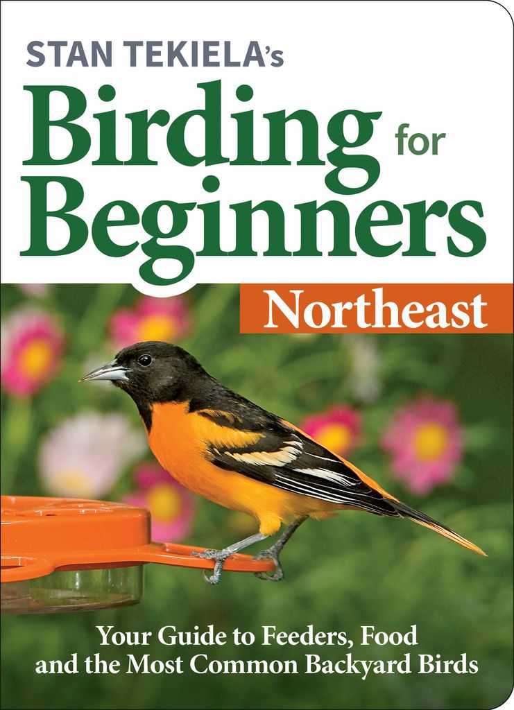 Cover image for Stan Tekielas Birding for Beginners: Northeast