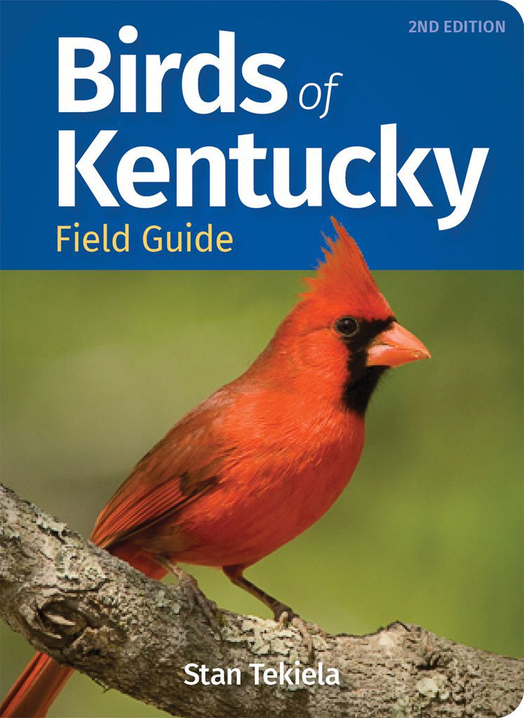 Cover image for Birds of Kentucky Field Guide