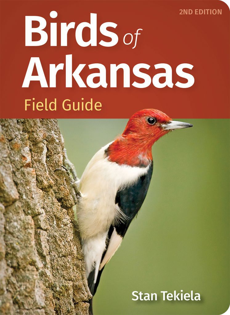 Cover image for Birds of Arkansas Field Guide