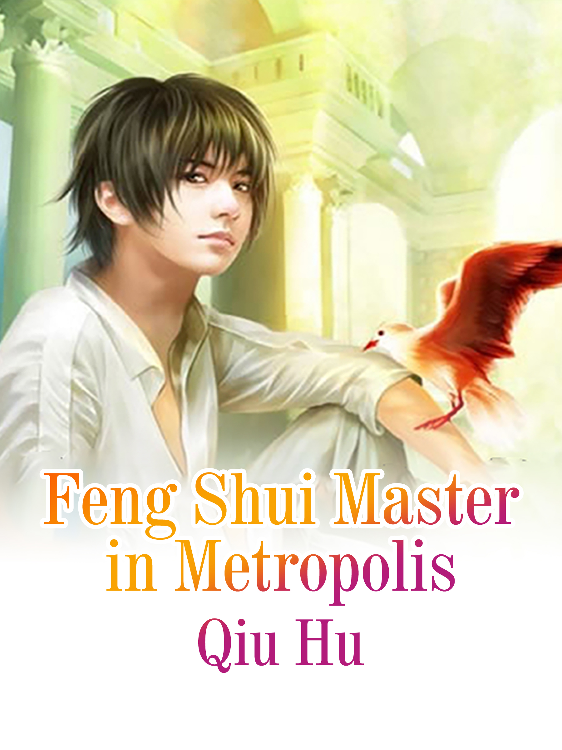 Cover image for Feng Shui Master in Metropolis