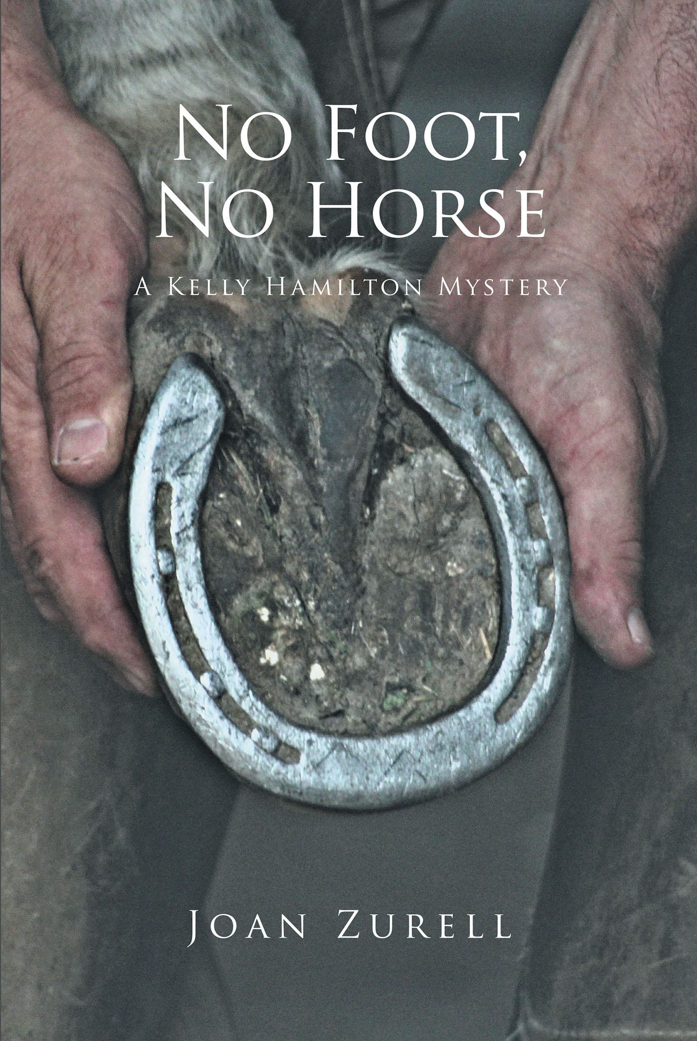 Cover image for No Foot, No Horse