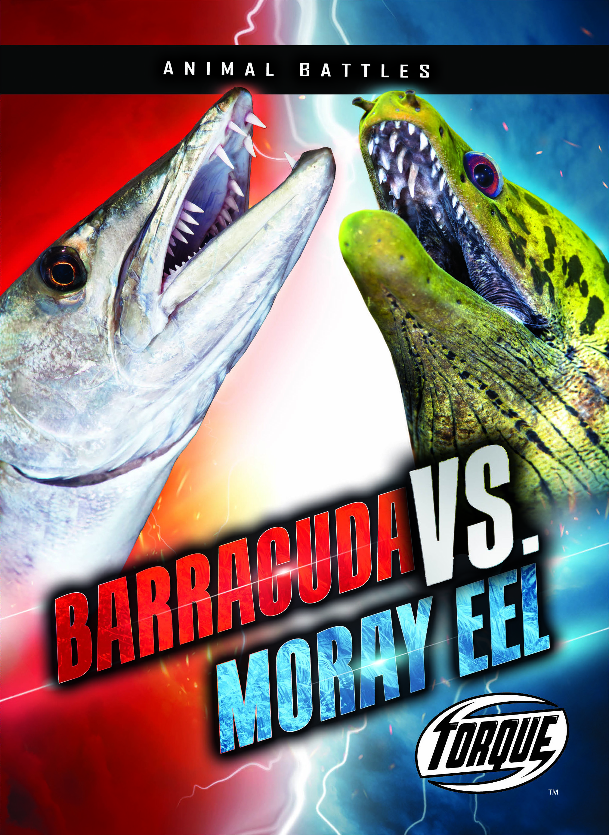 barracuda vs shark