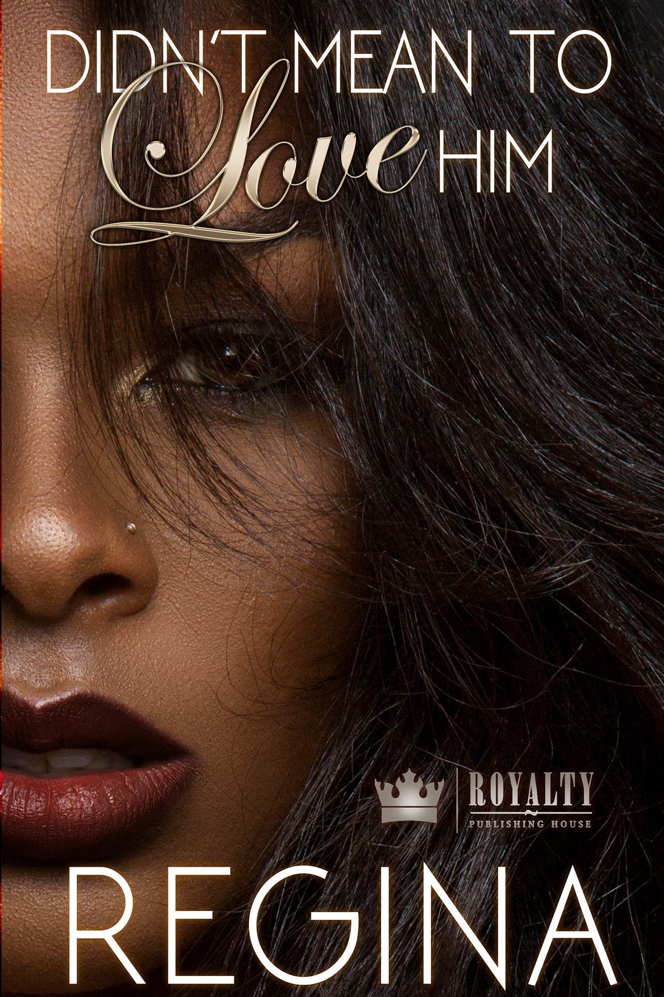 Cover image for Didn't Mean To Love Him