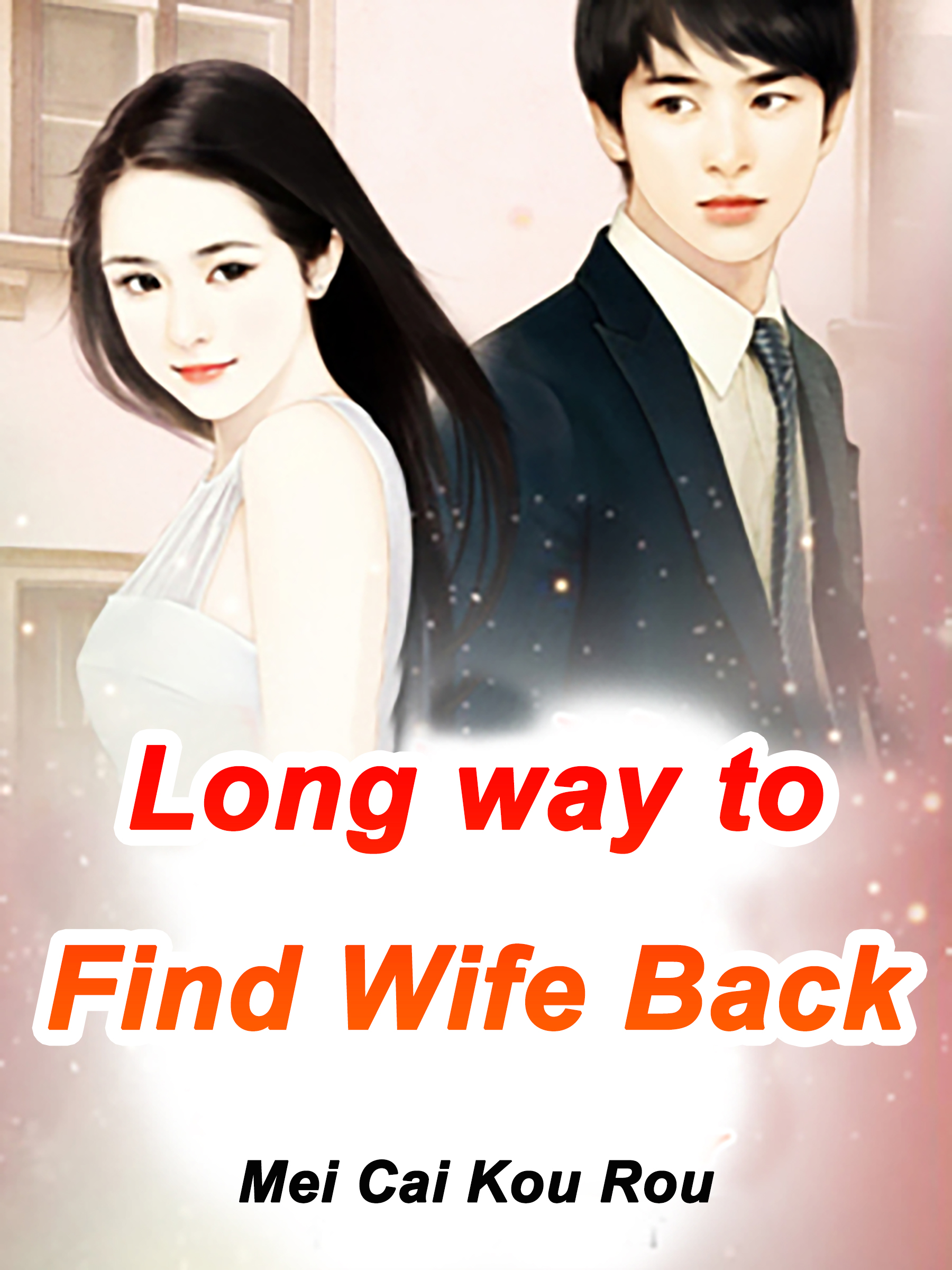 Cover image for Long way to Find Wife Back
