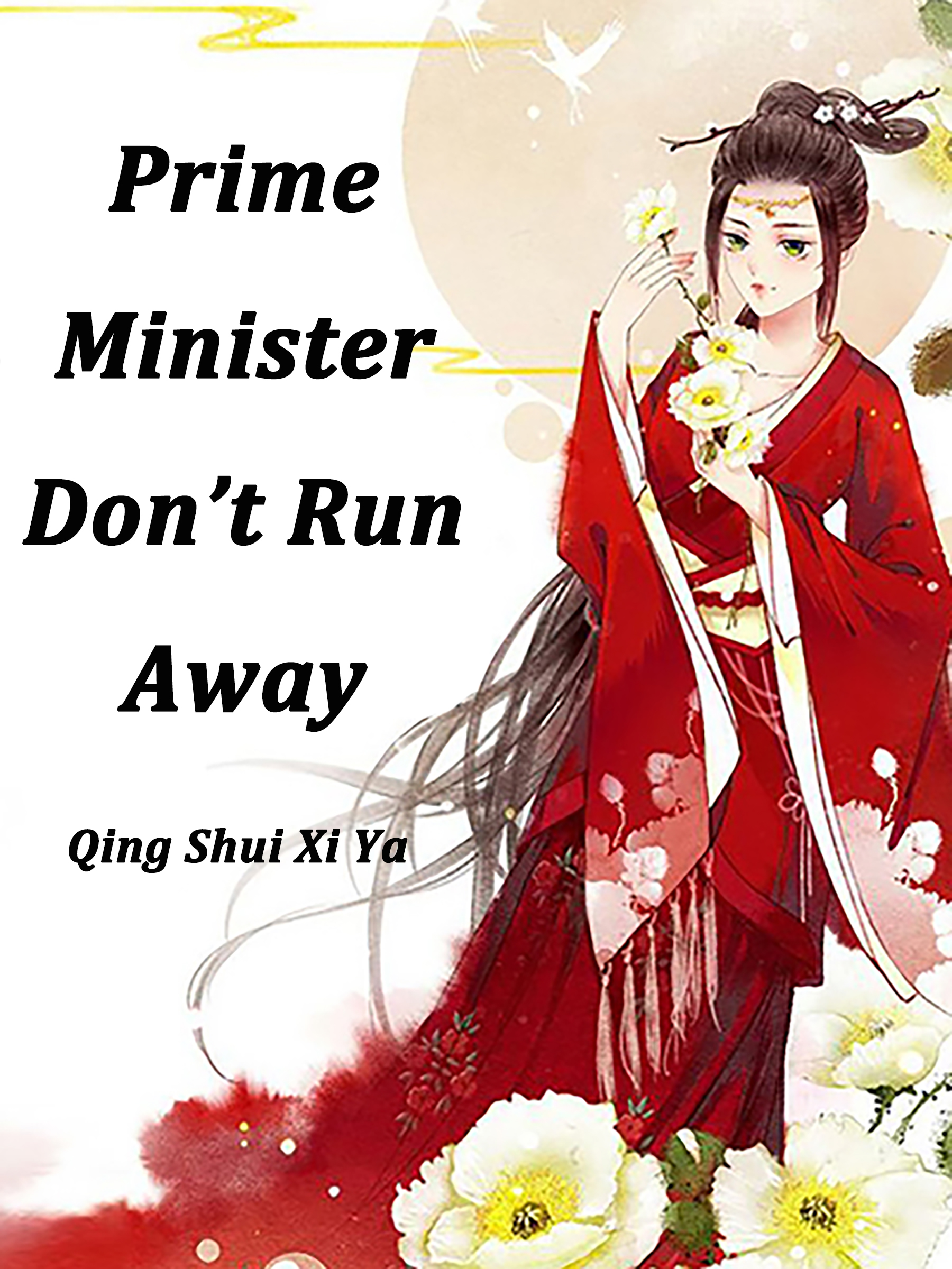 Cover image for Prime Minister, Dont Run Away