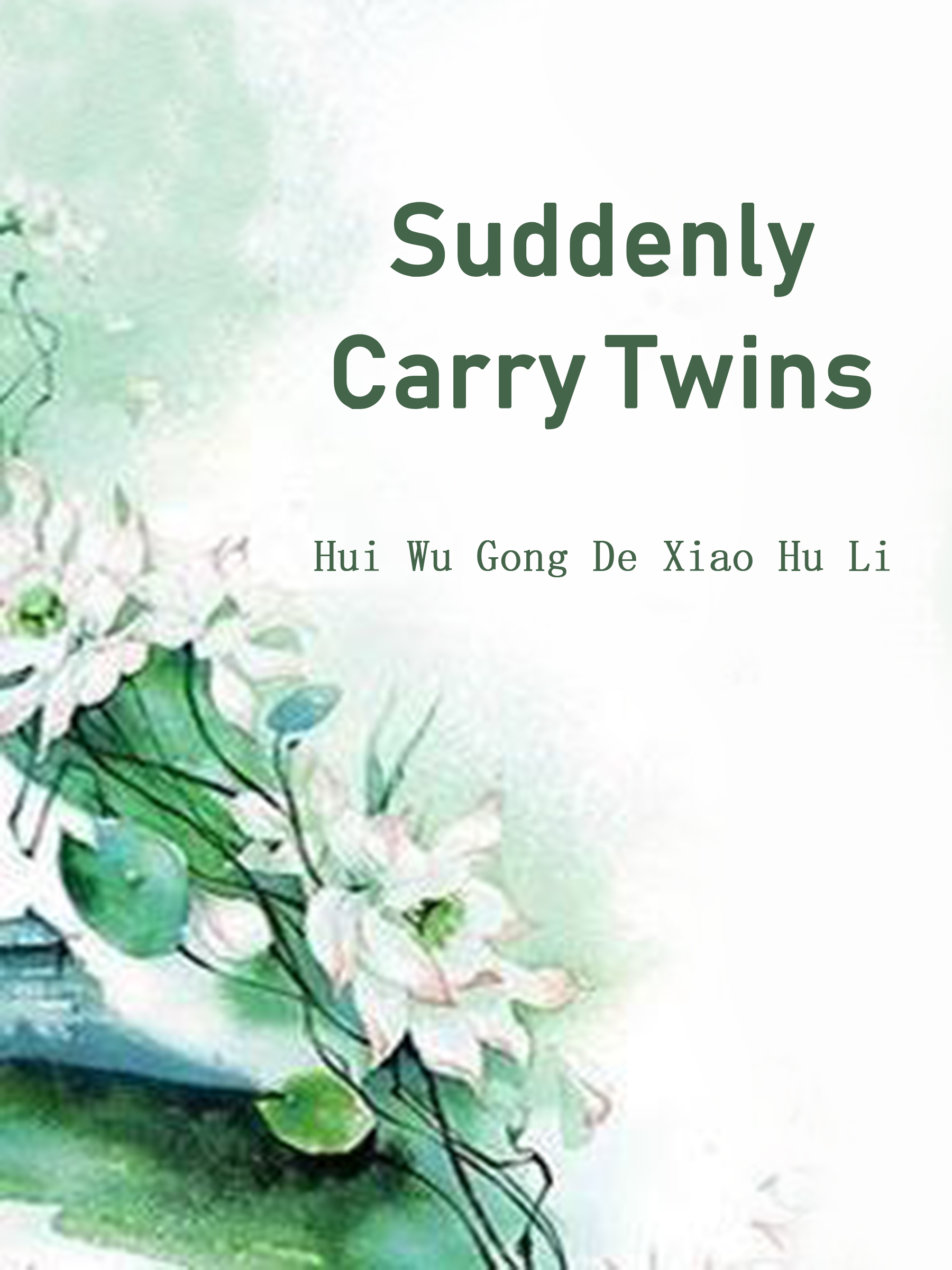 Cover image for Suddenly Carry Twins