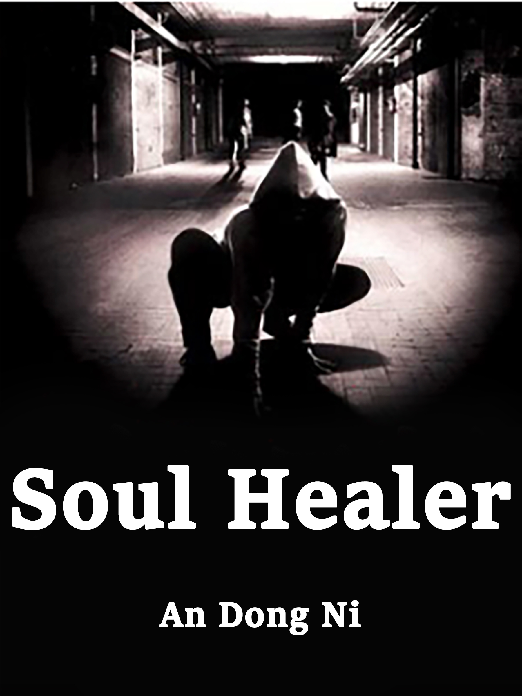 Cover image for Soul Healer