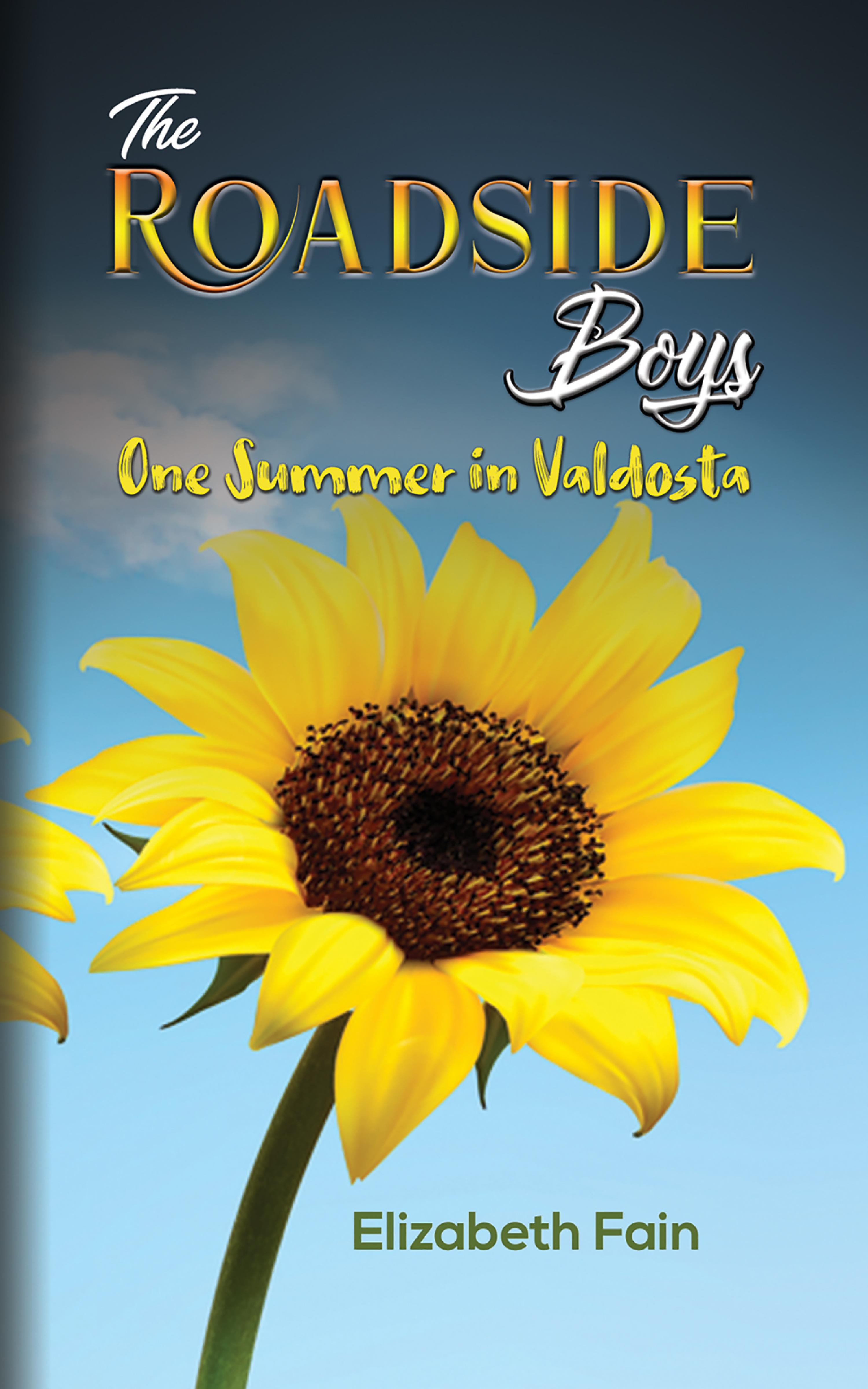 Cover image for The Roadside Boys