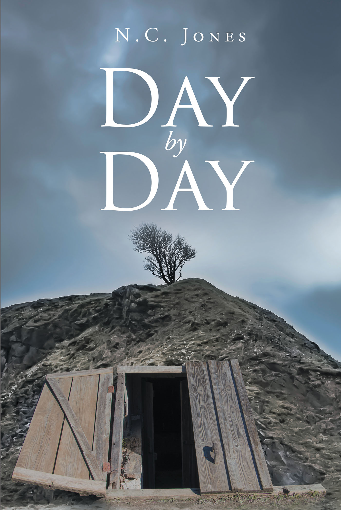 Cover image for Day by Day