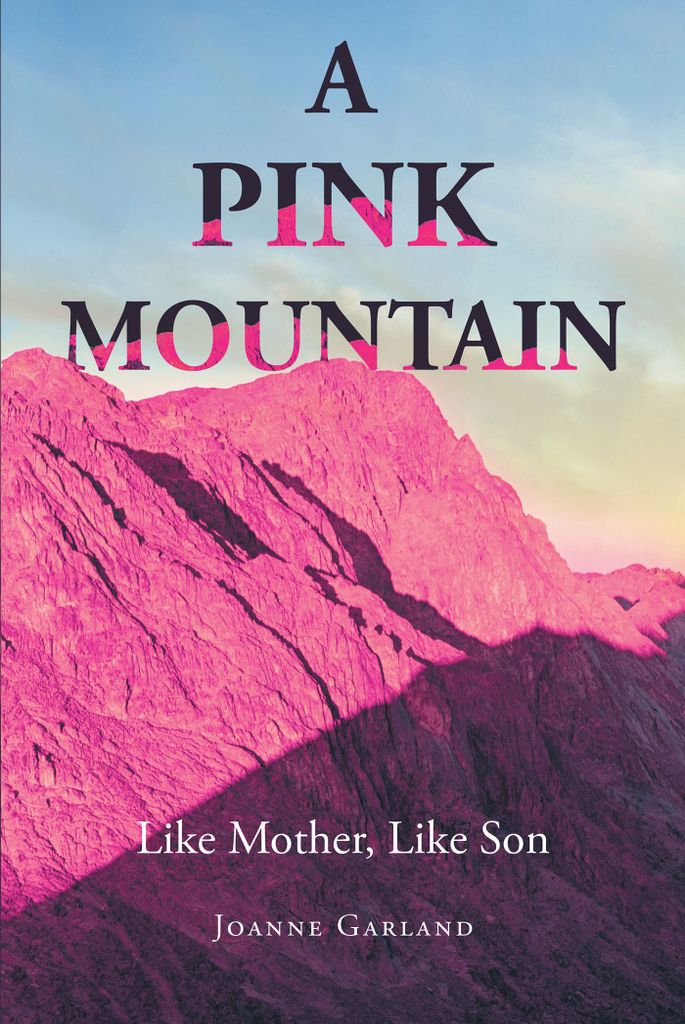 Cover image for A Pink Mountain