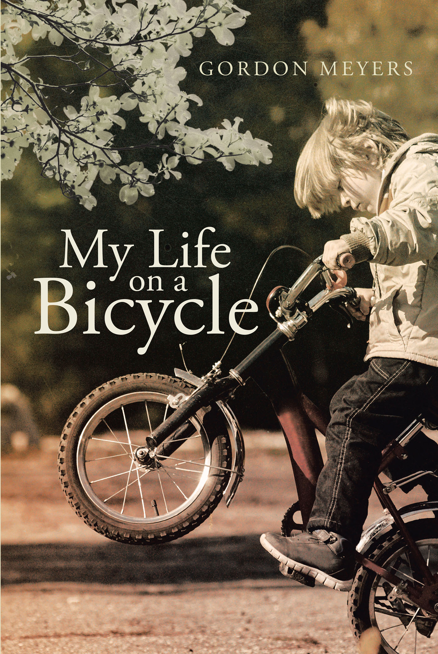 my life bicycle