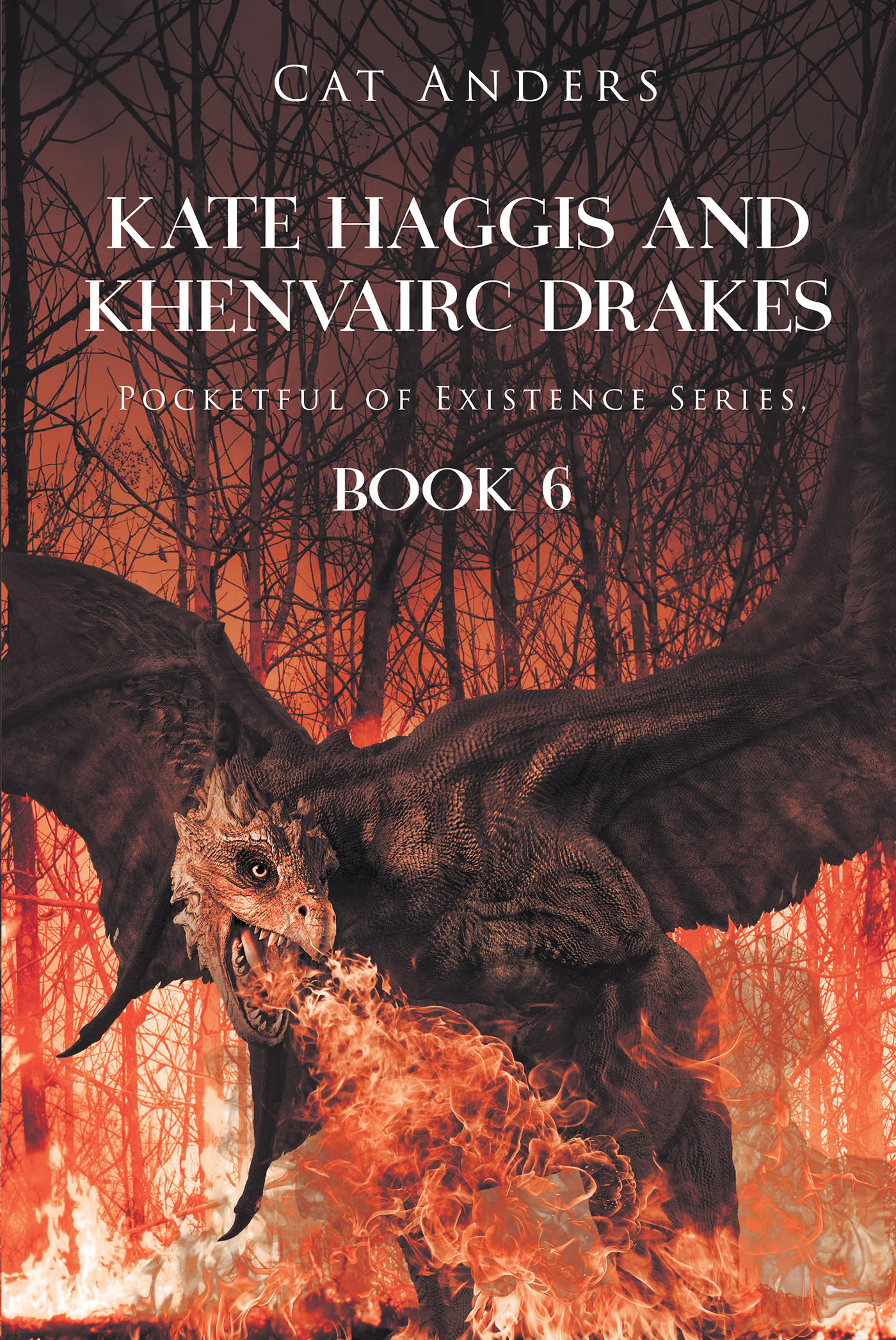 Cover image for Kate Haggis and Khenvairc Drakes