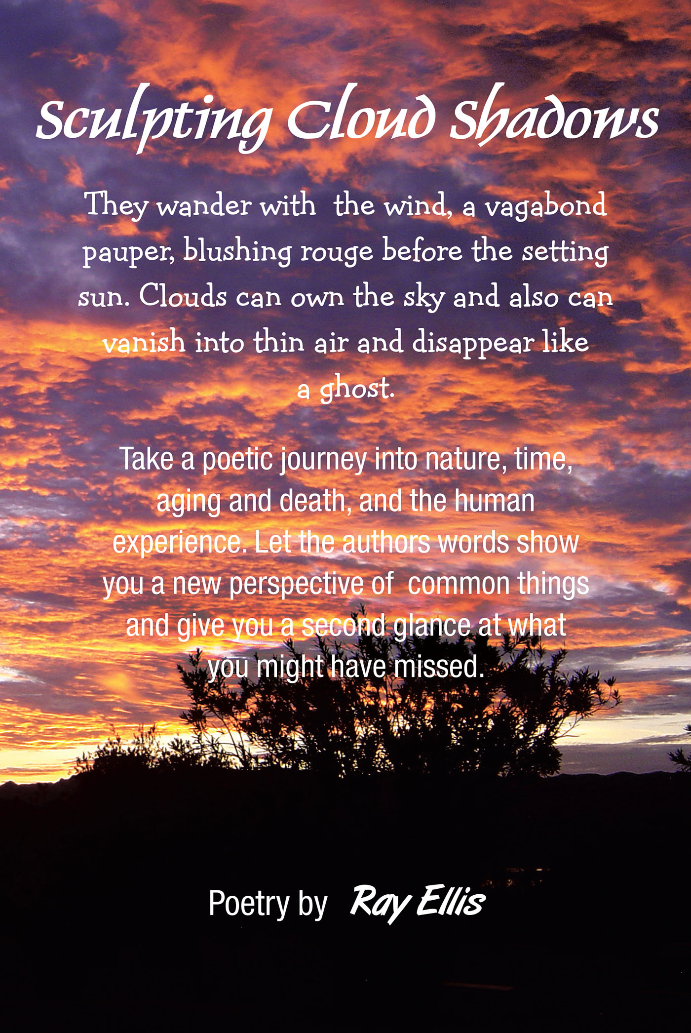 Cover image for Sculpting Cloud Shadows