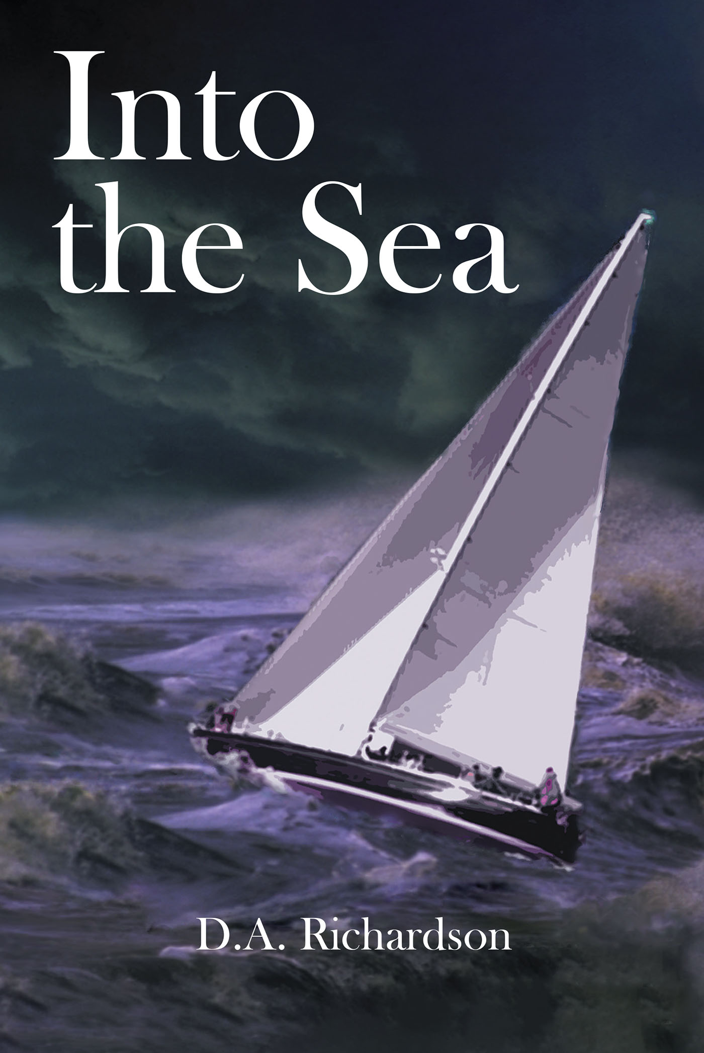 Cover image for Into the Sea