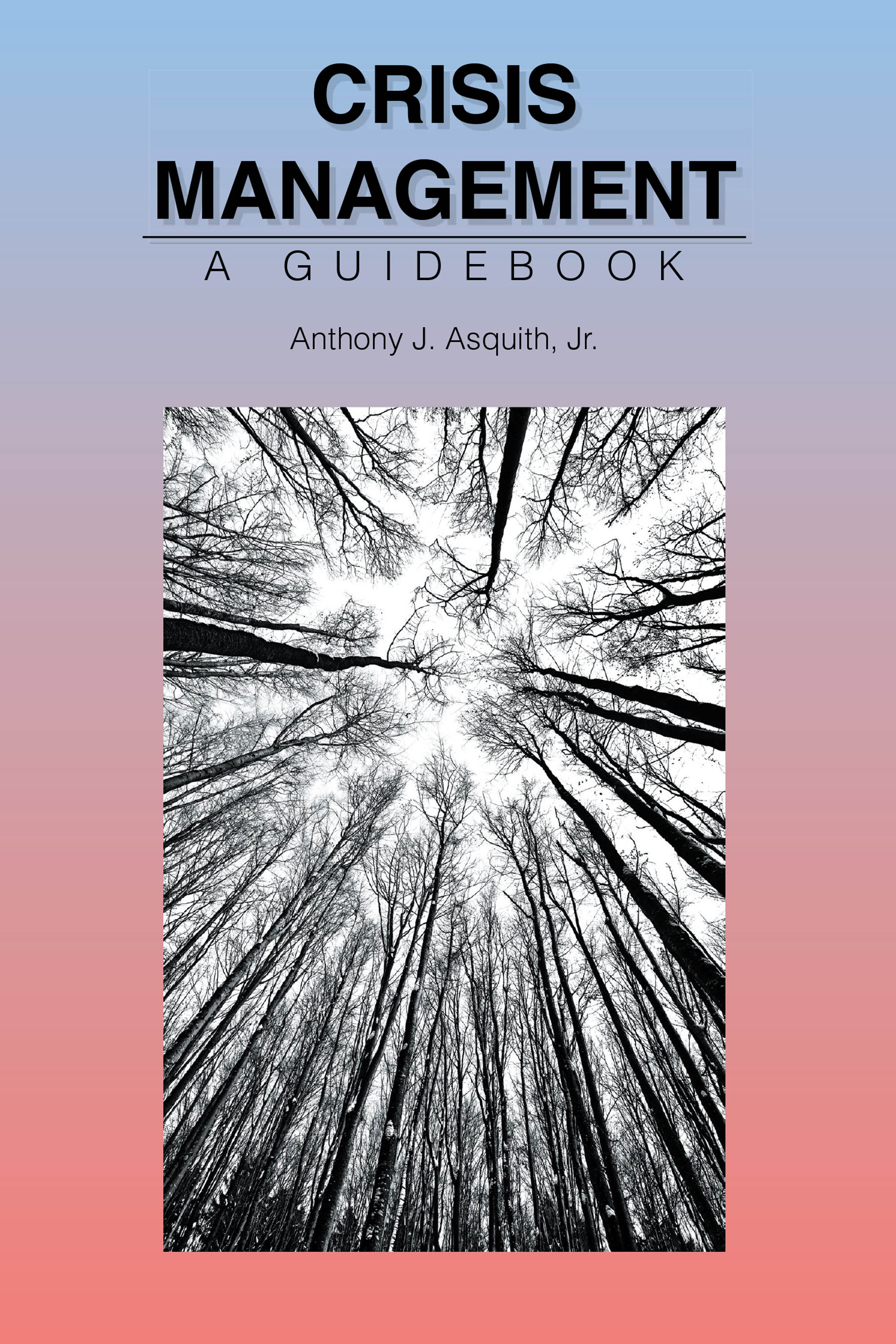 Cover image for Crisis Management