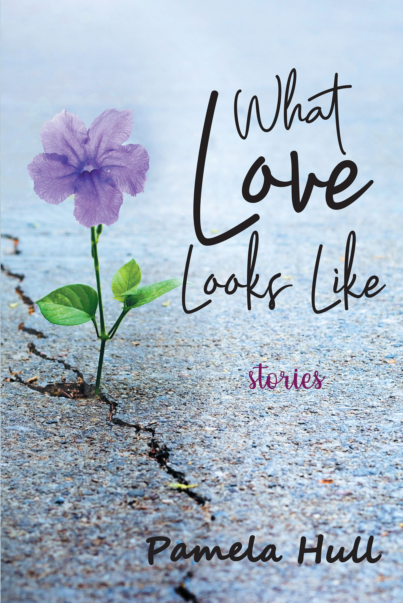 Cover image for What Love Looks Like