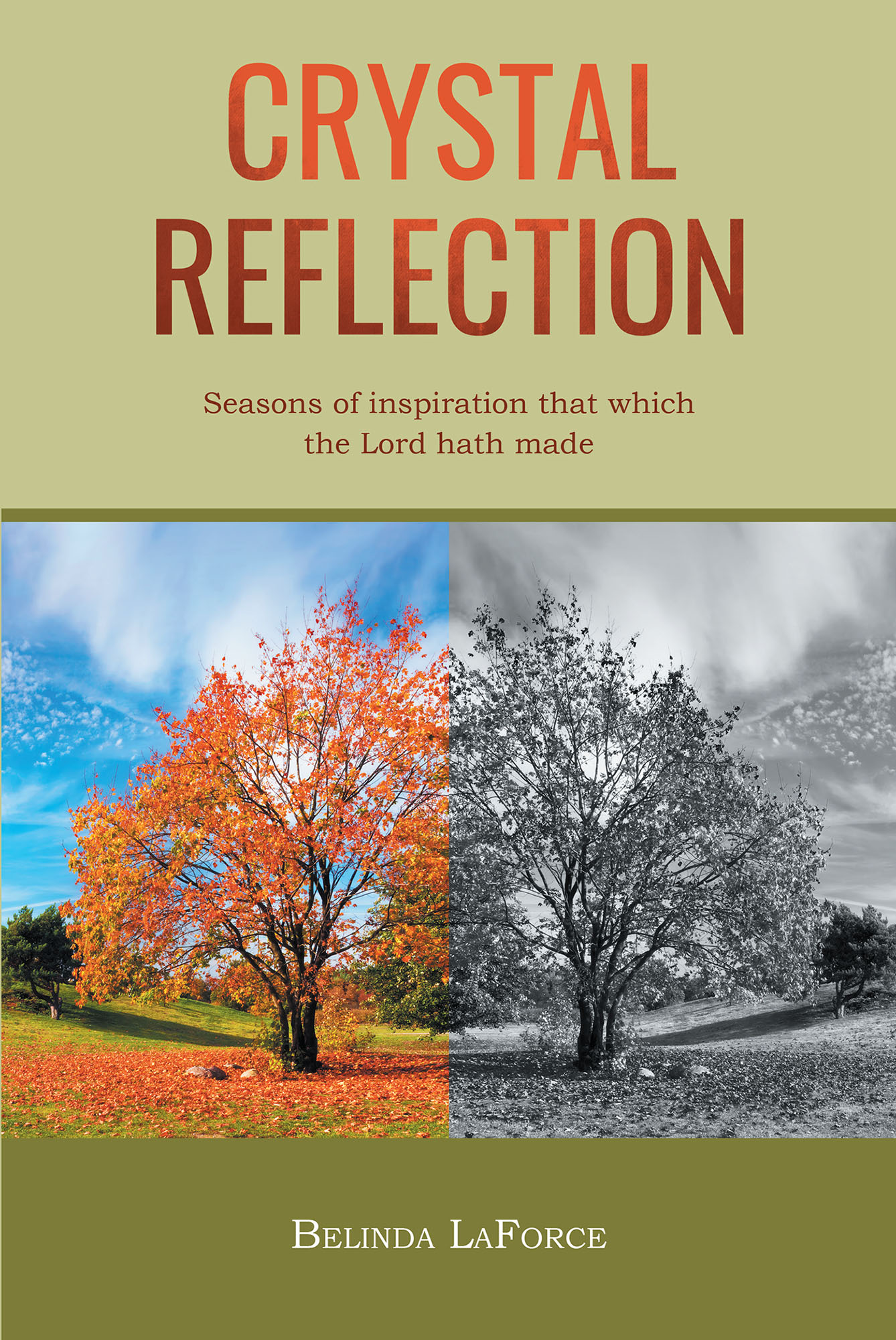Cover image for Crystal Reflection