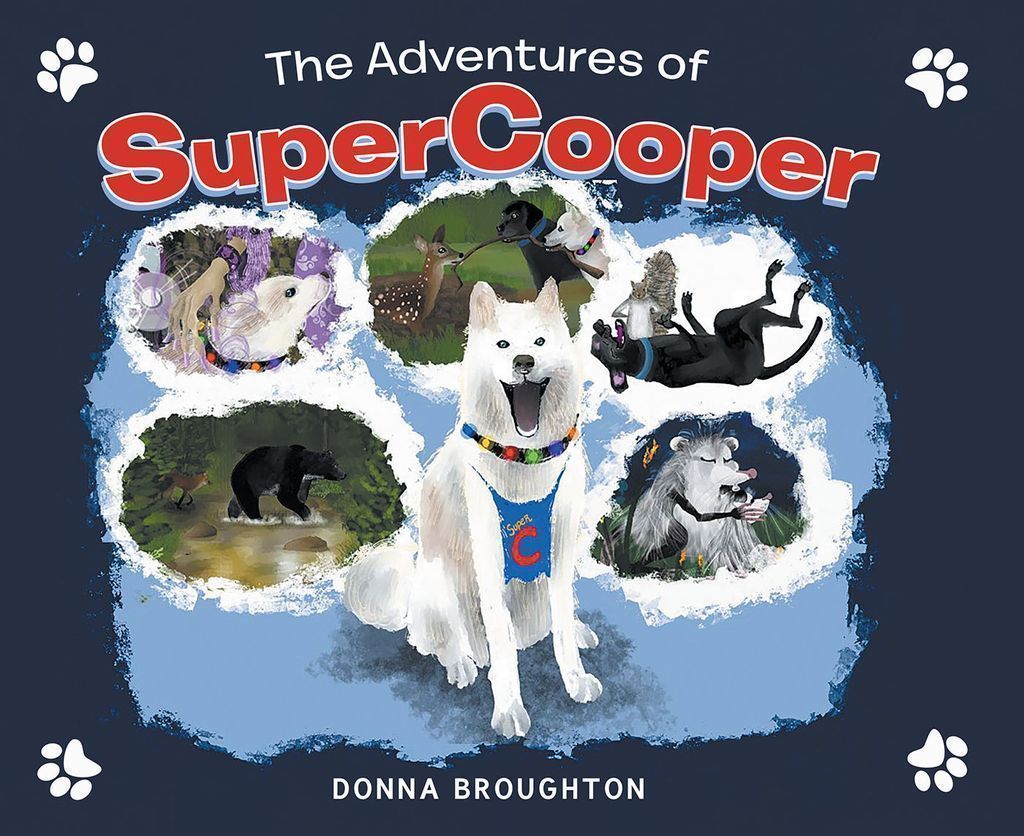 Cover image for The Adventures of SuperCooper
