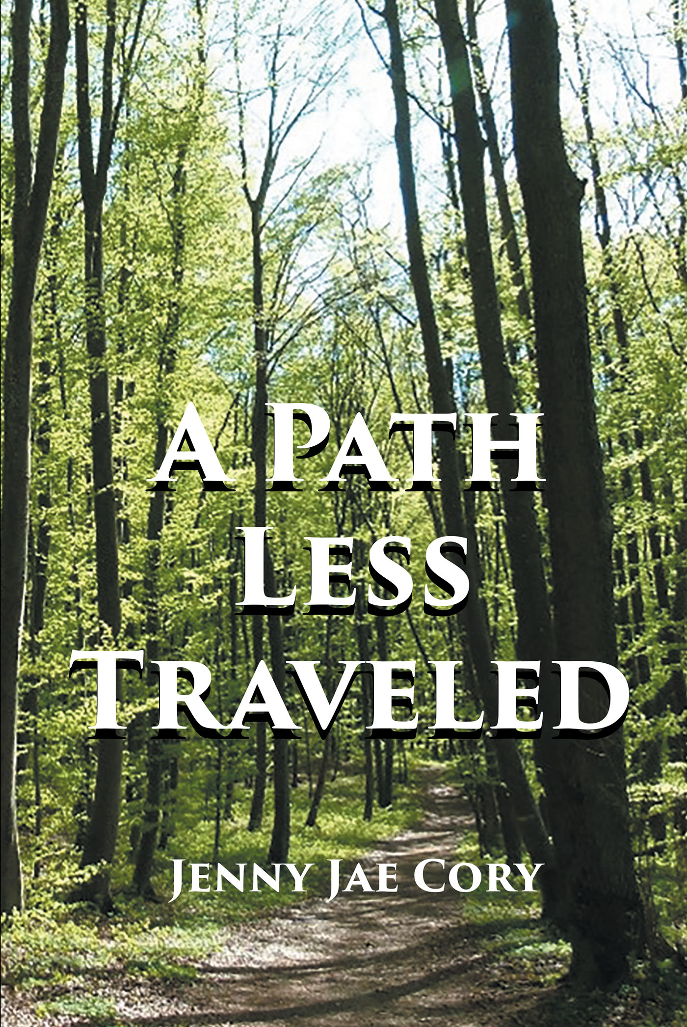Cover image for A Path Less Traveled