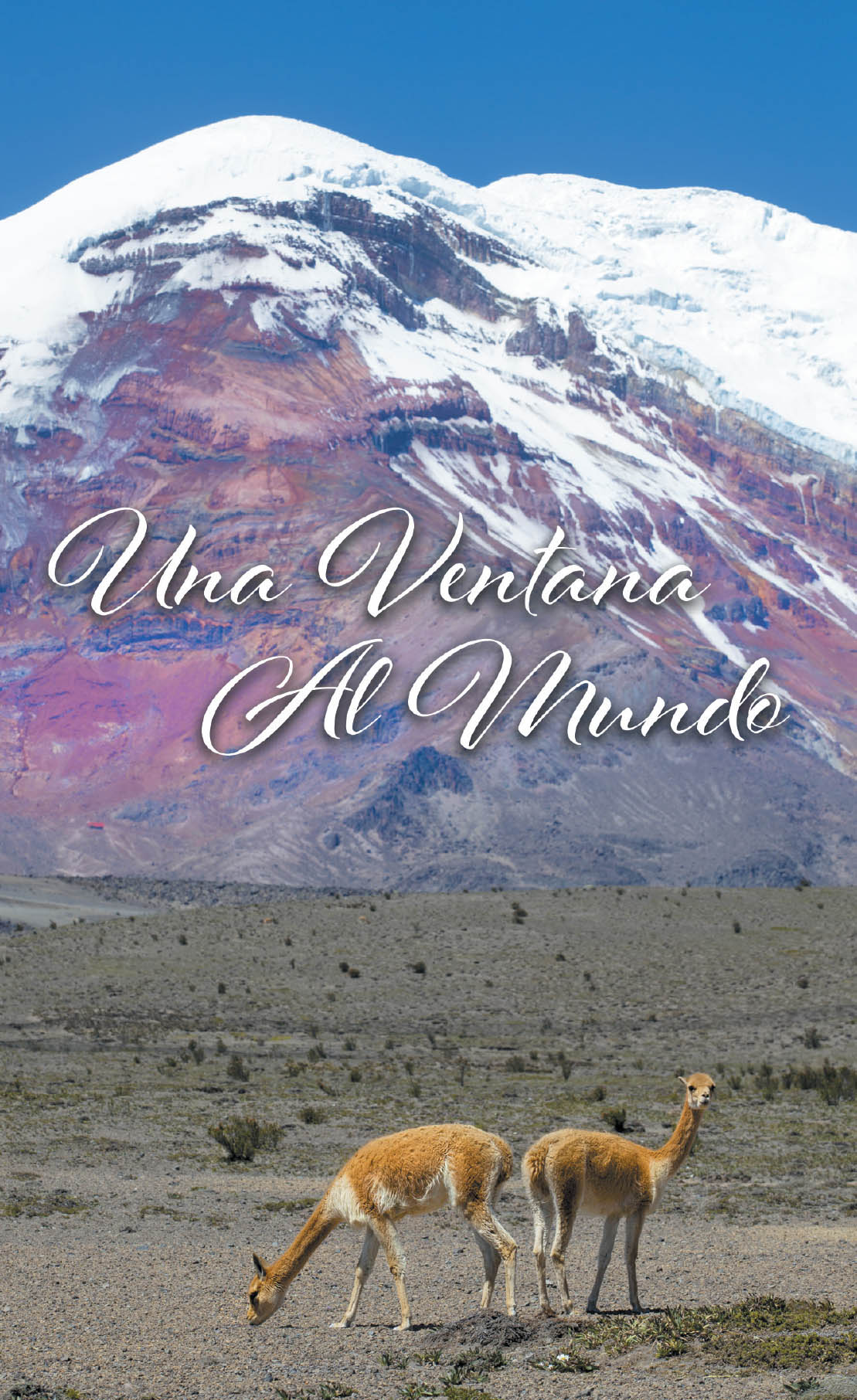 Cover image for Una ventana al mundo