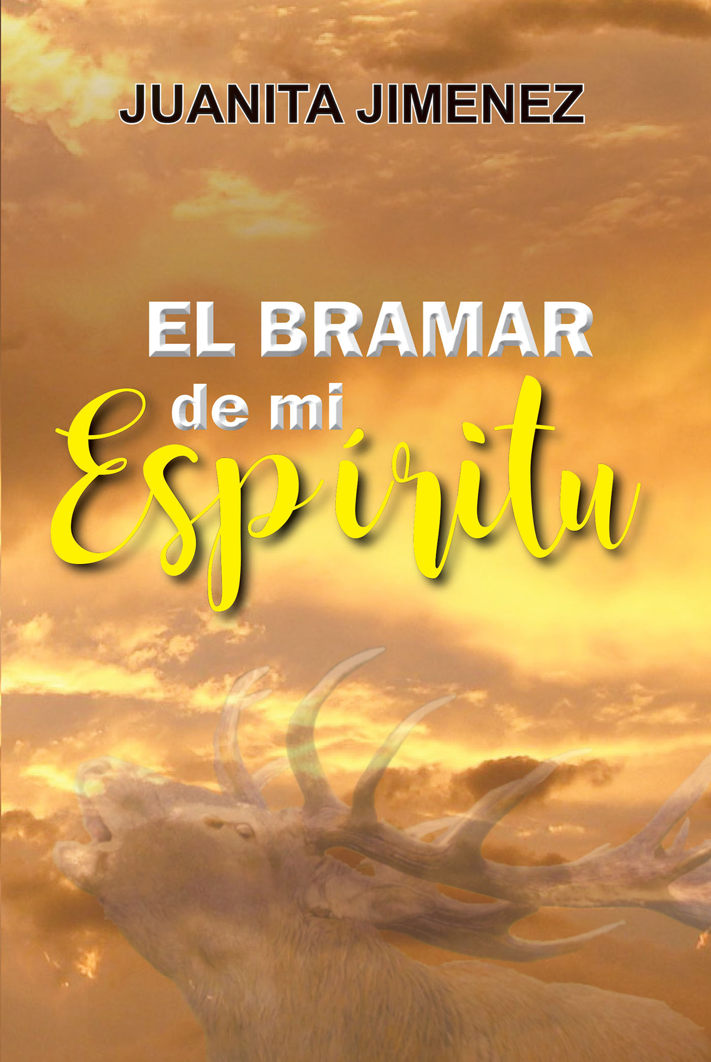 Cover image for EL BRAMAR de mi Espiritu
