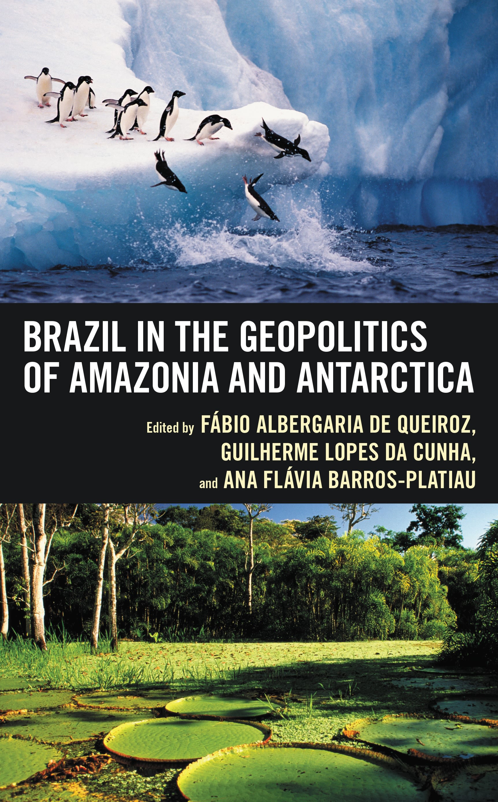 Cover image for Brazil in the Geopolitics of Amazonia and Antarctica