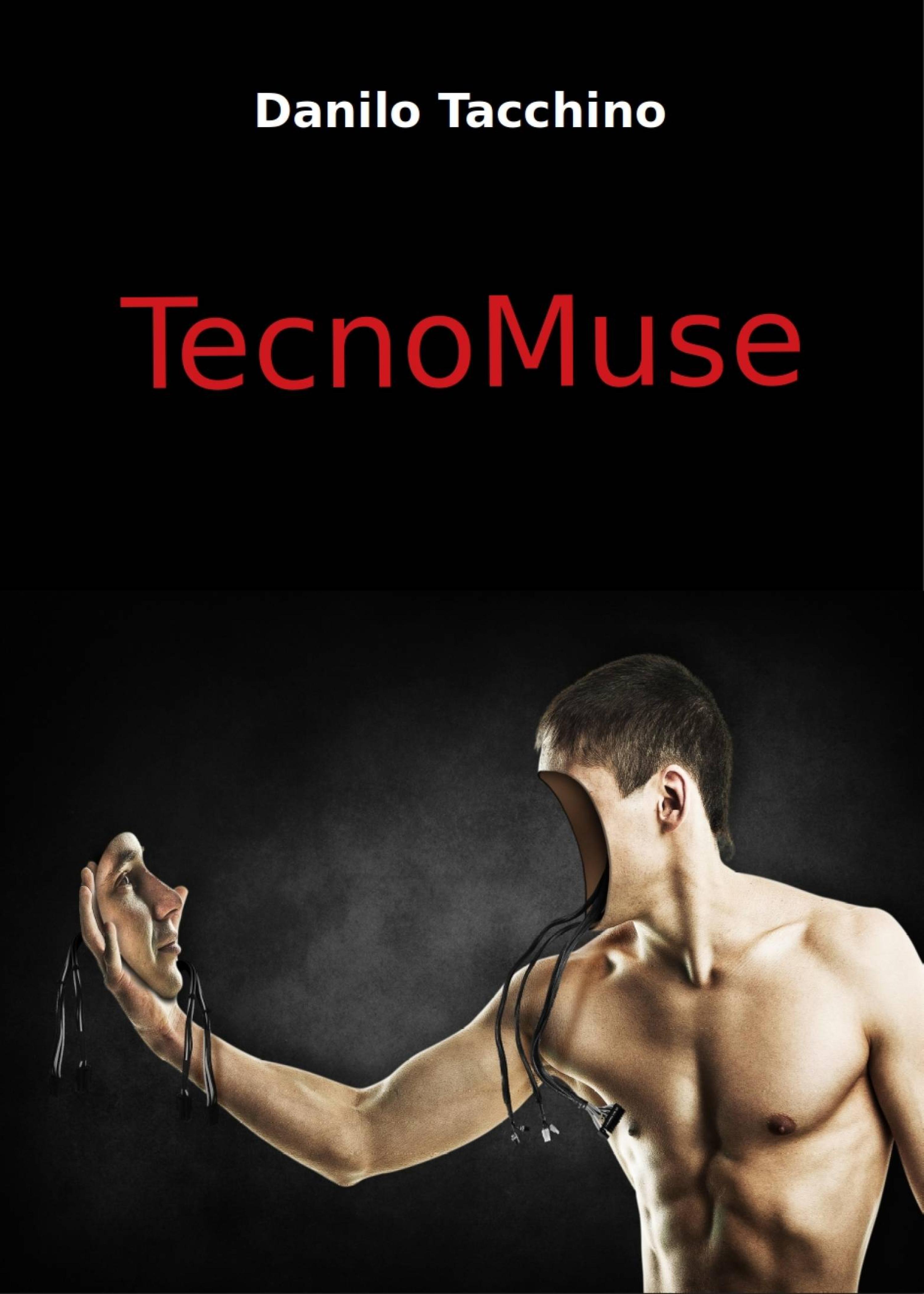 Cover image for Tecnomuse