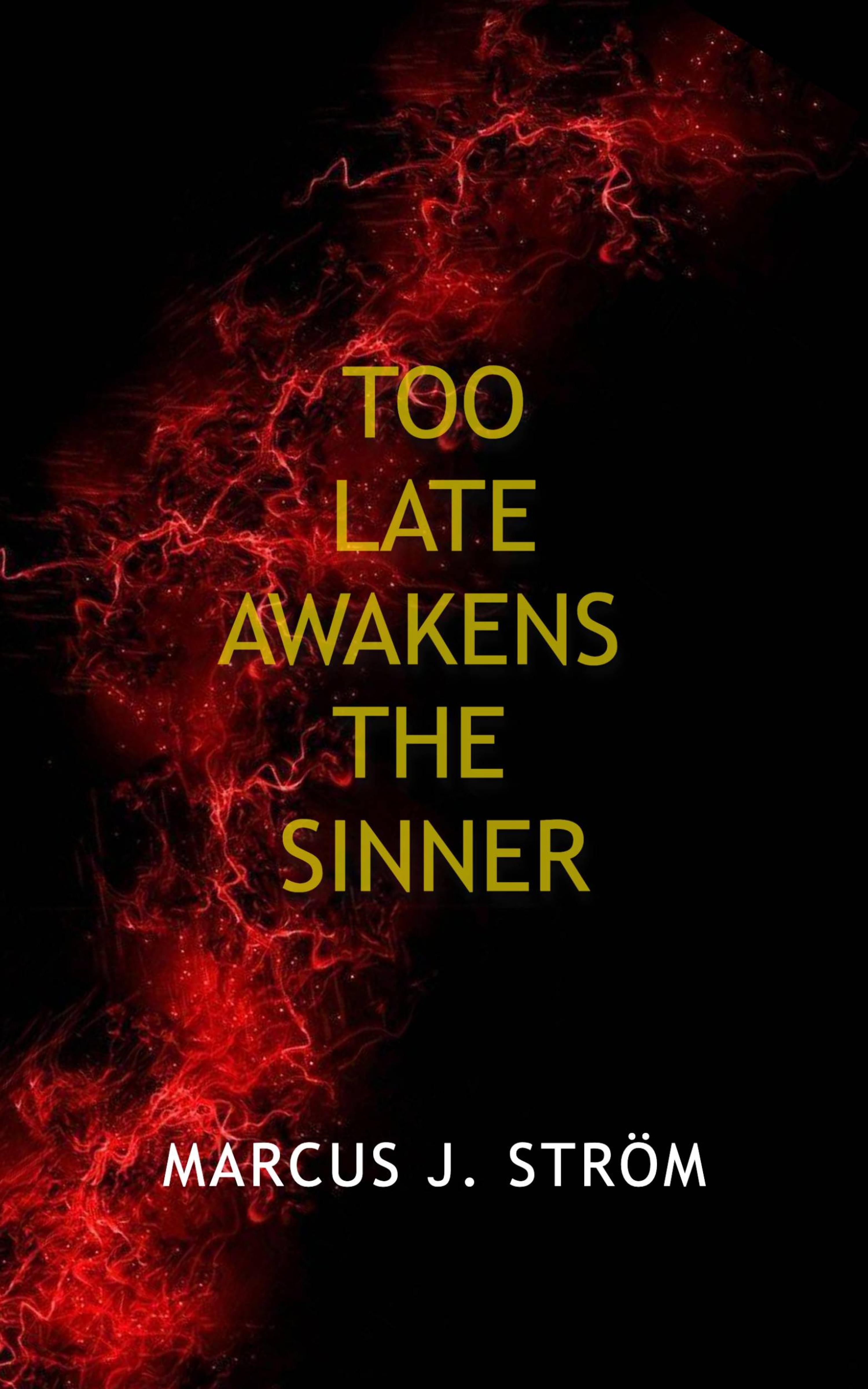 Cover image for Too Late Awakens The Sinner