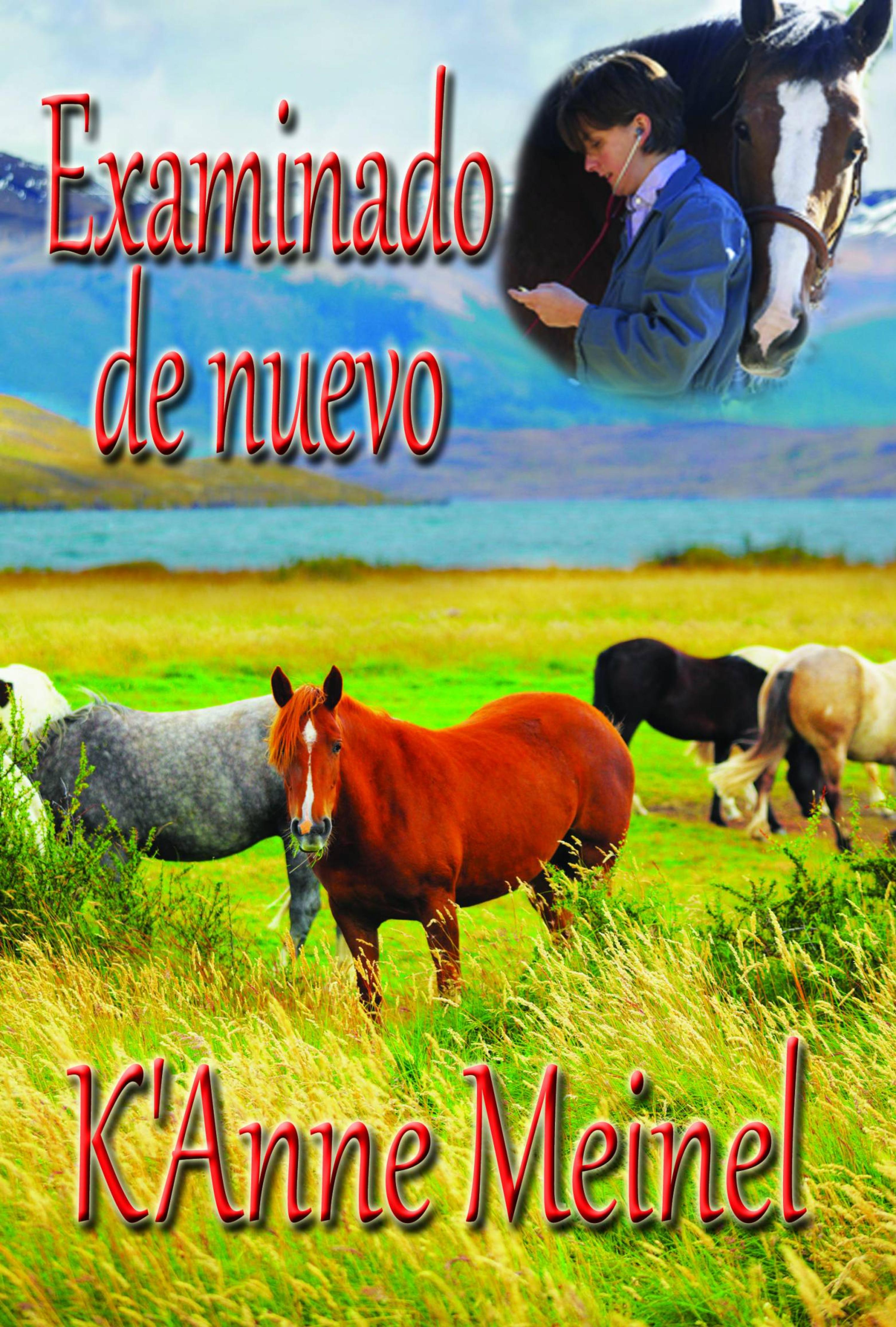 Cover image for Examinado de nuevo