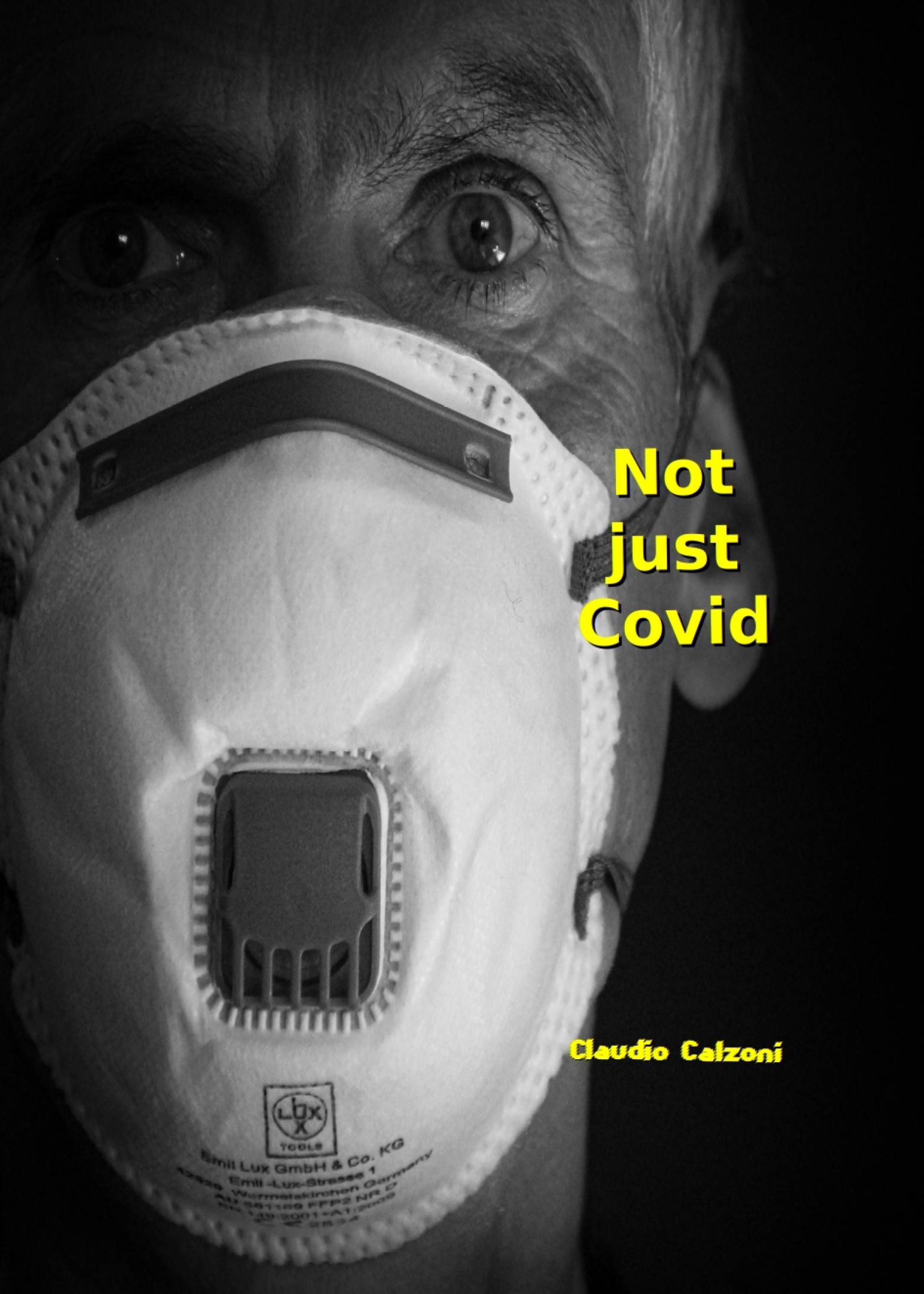Cover image for Not just covid