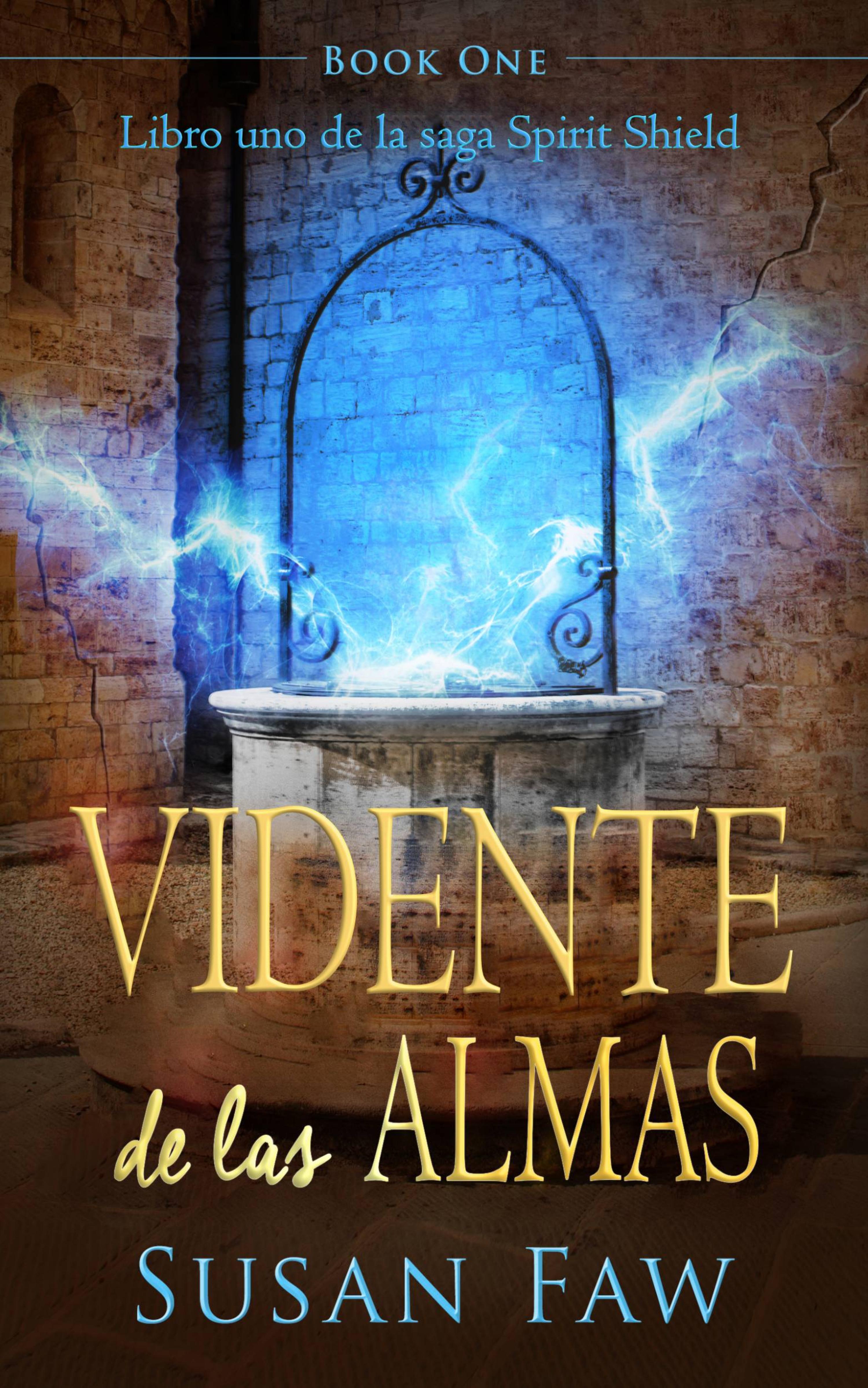 Cover image for Vidente de las almas