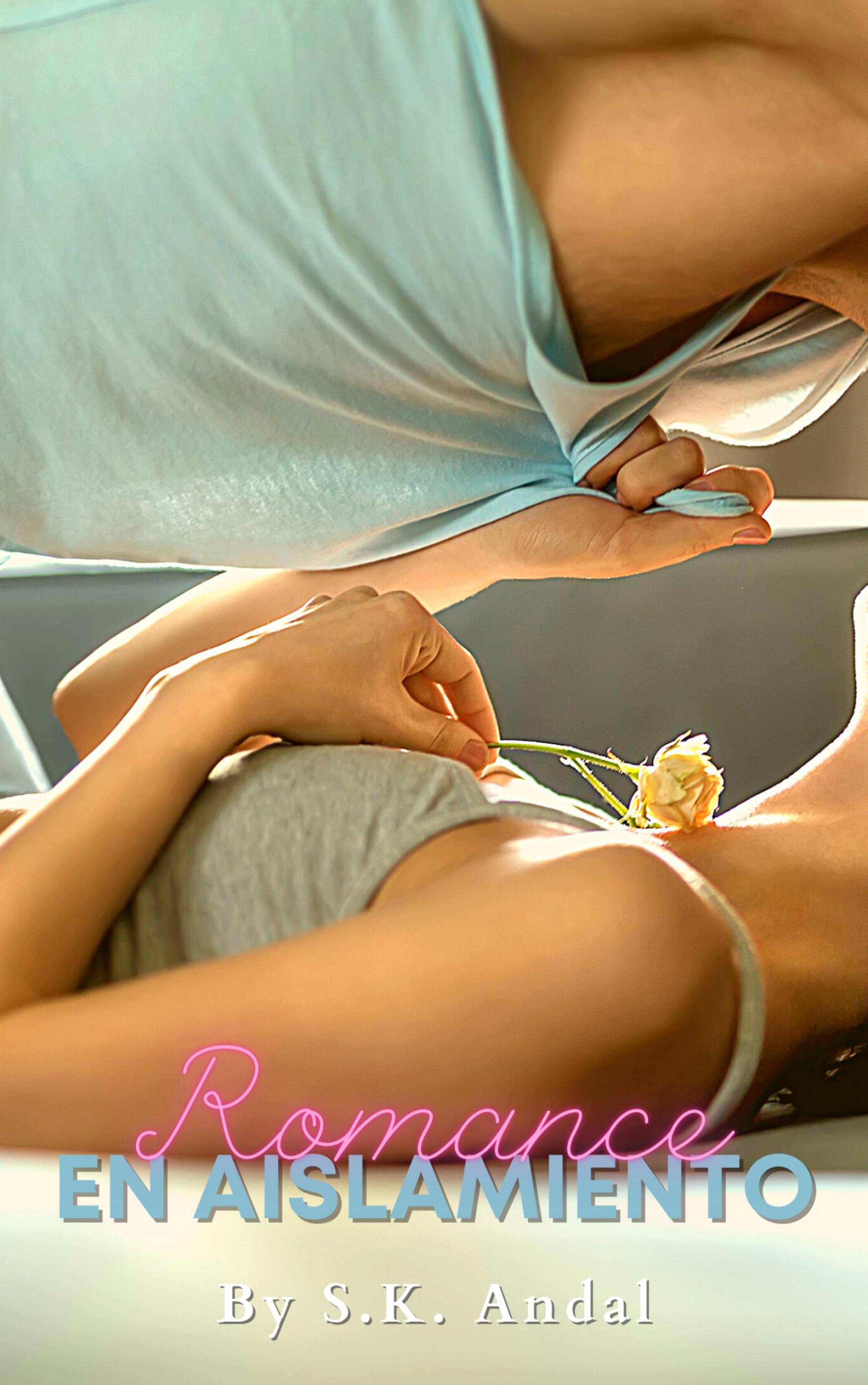 Cover image for Romance en Aislamiento