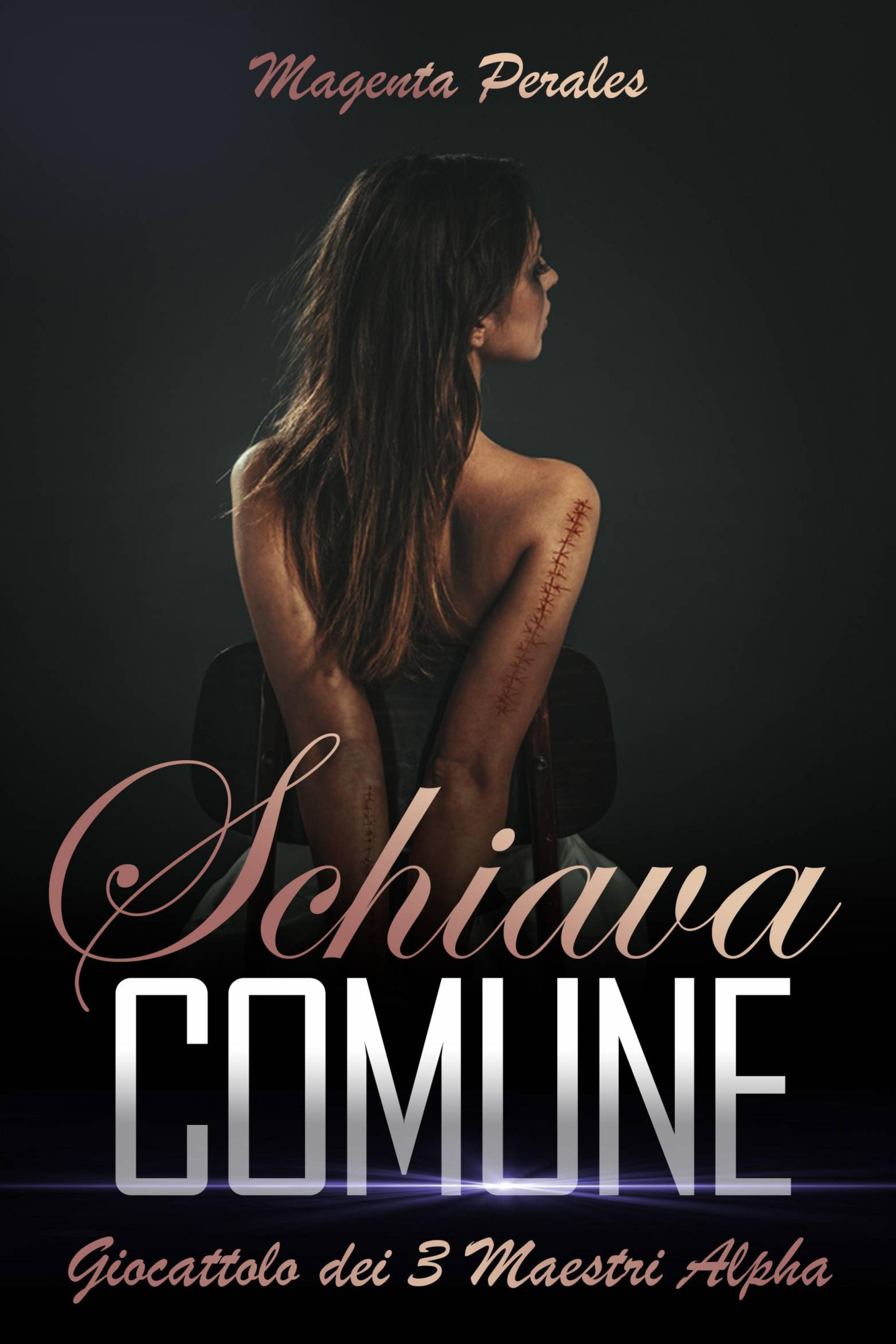 Cover image for Schiava Comune