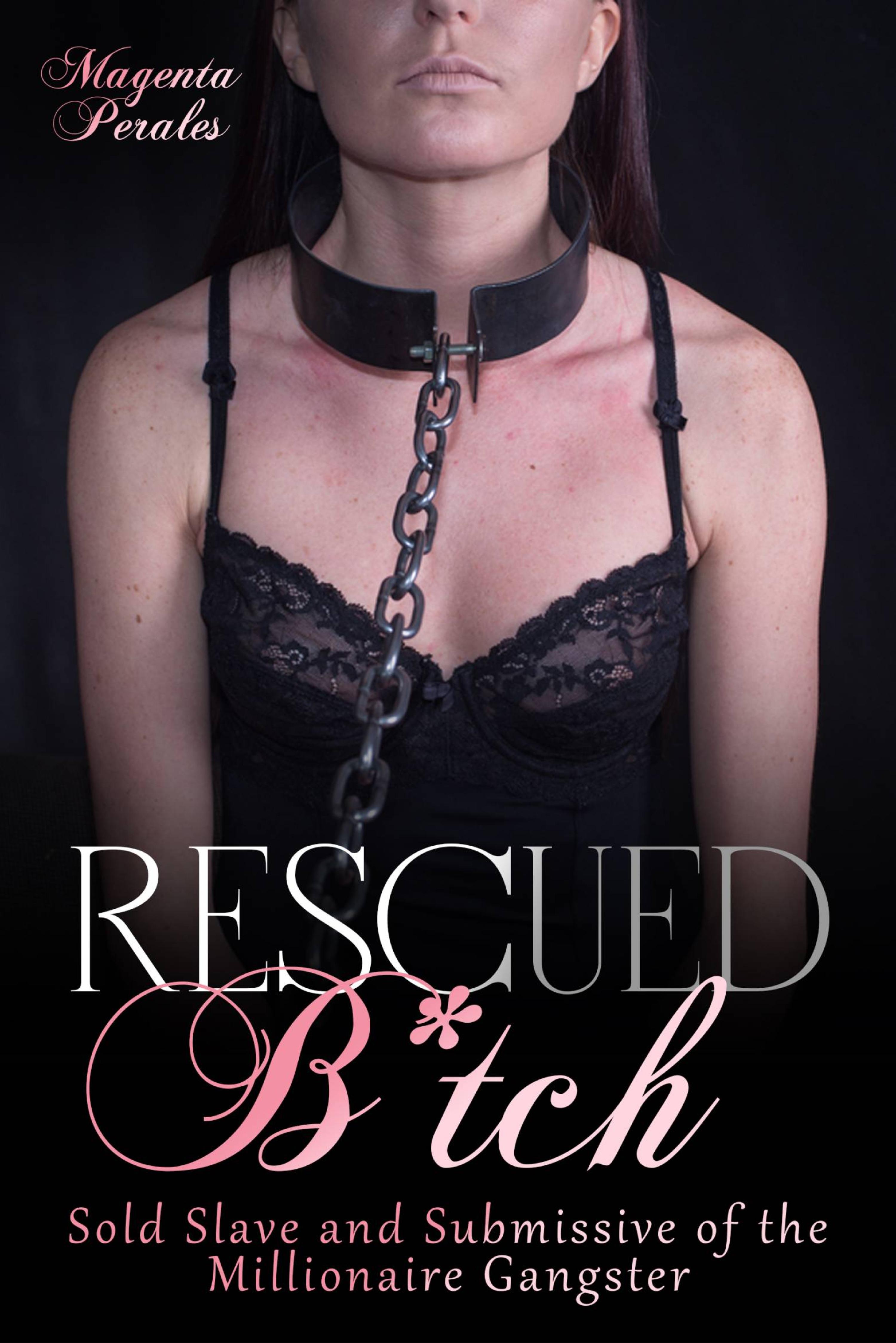Cover image for Rescued B*tch
