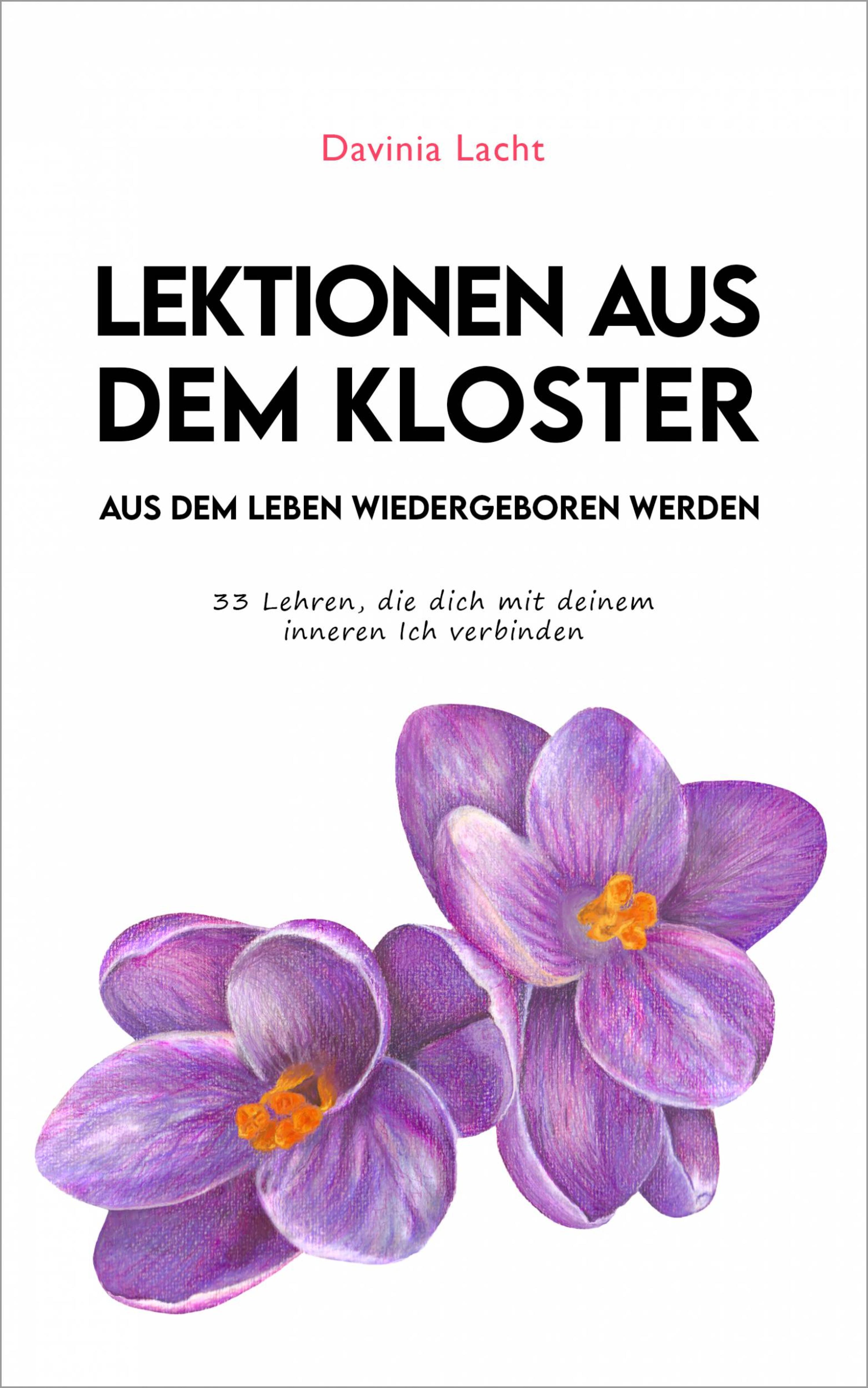 Cover image for Lektionen aus dem Kloster