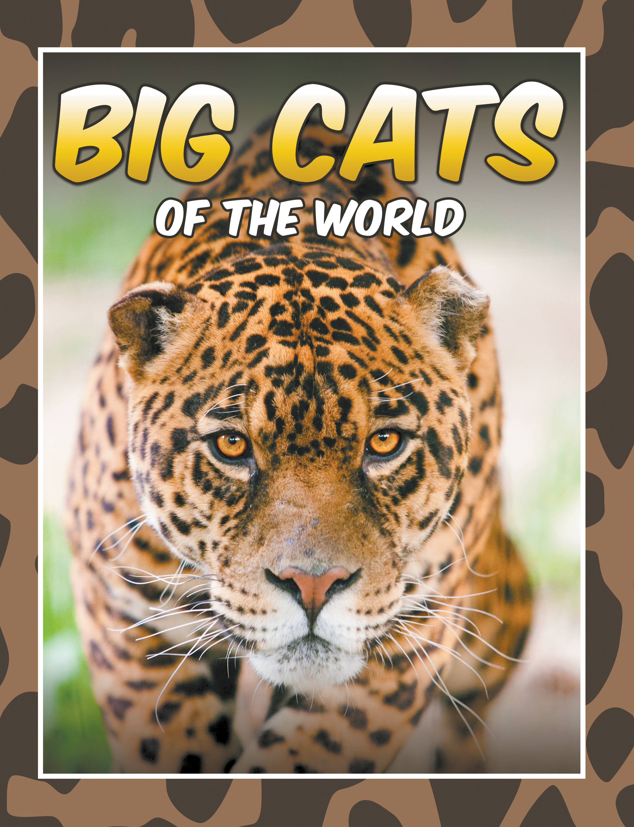 Big Cats Of The World