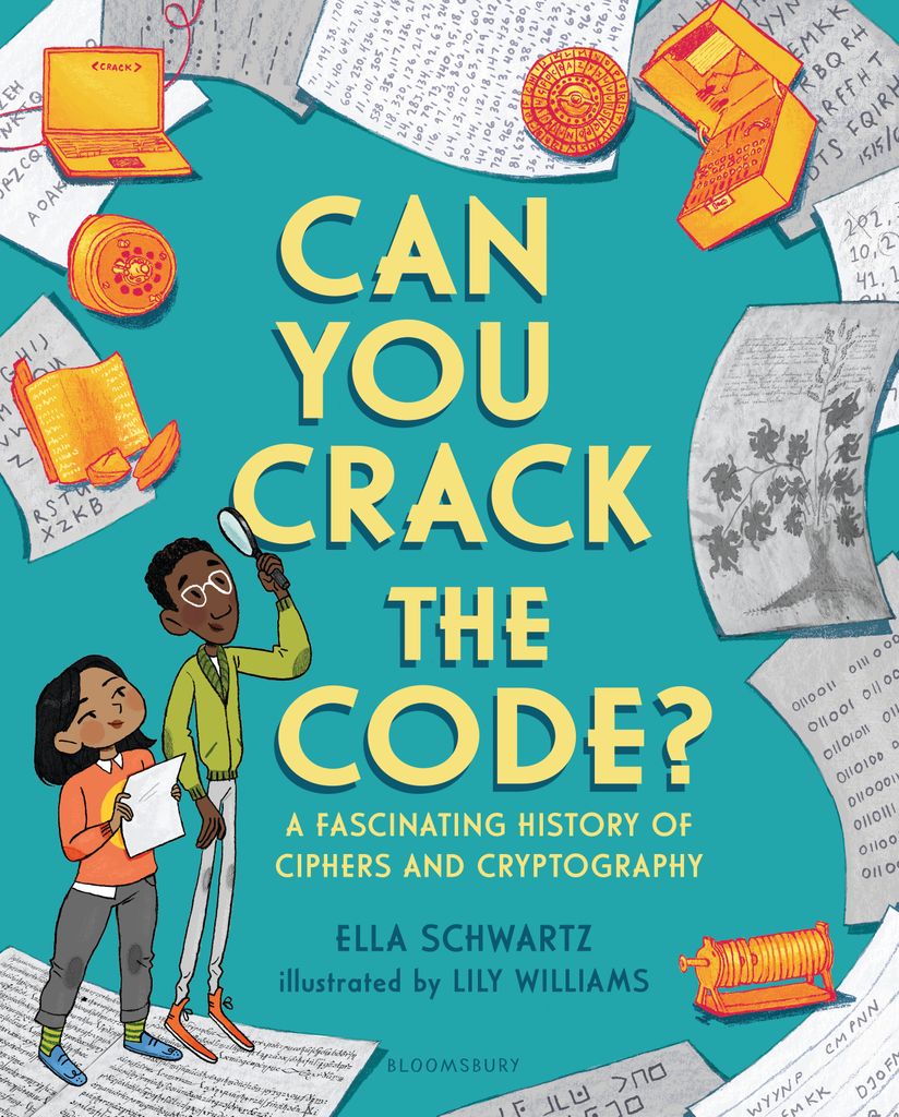 Cover image for Can You Crack the Code?
