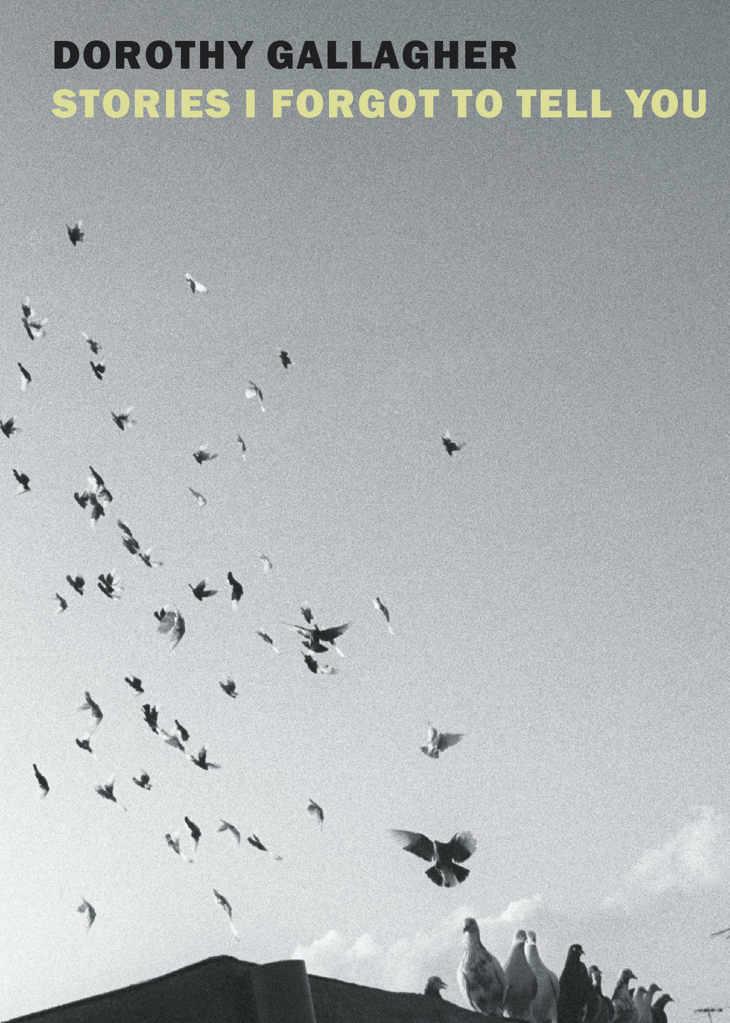 Cover image for Stories I Forgot to Tell You