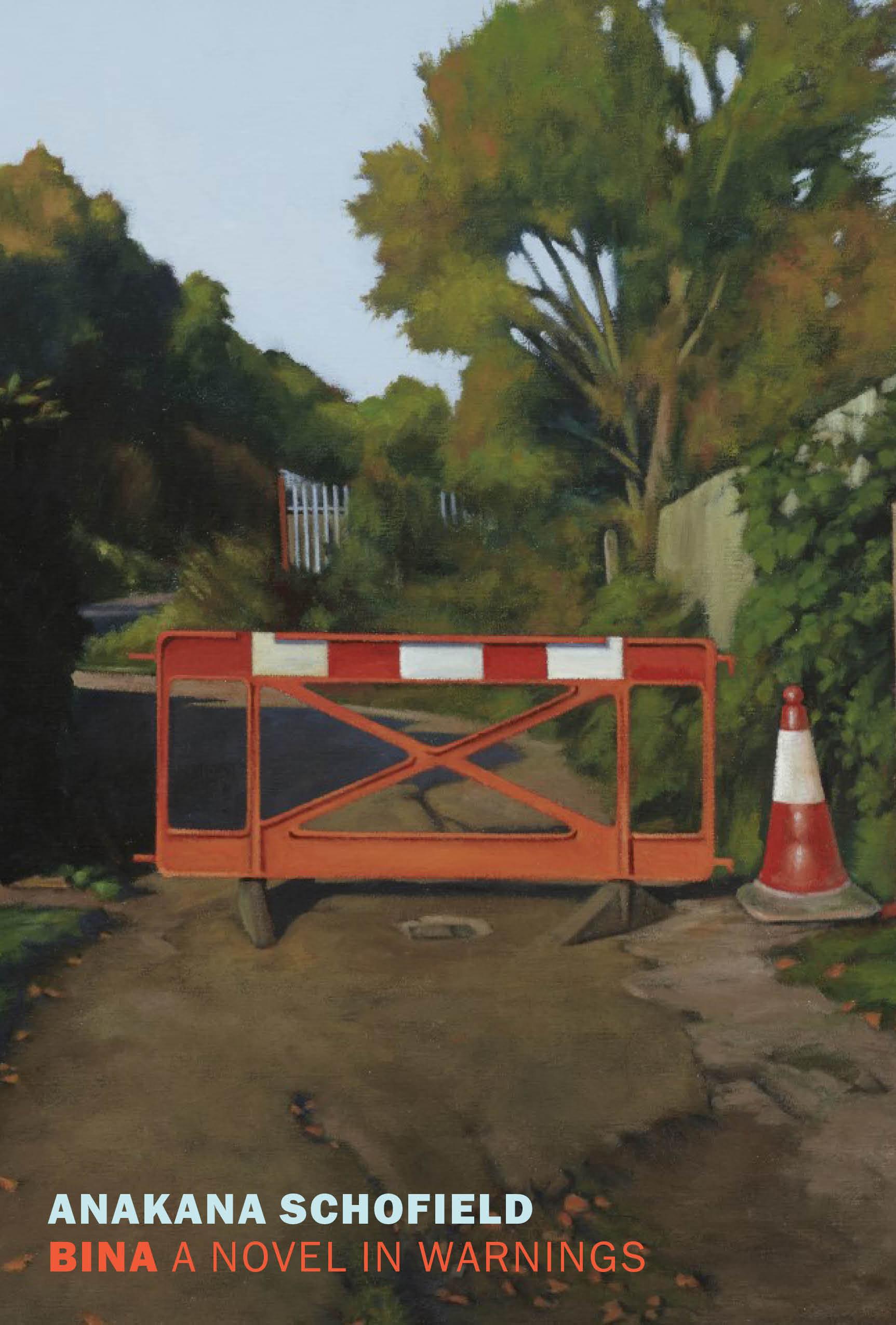 Cover image for Bina