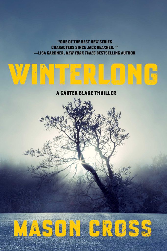 Cover image for Winterlong