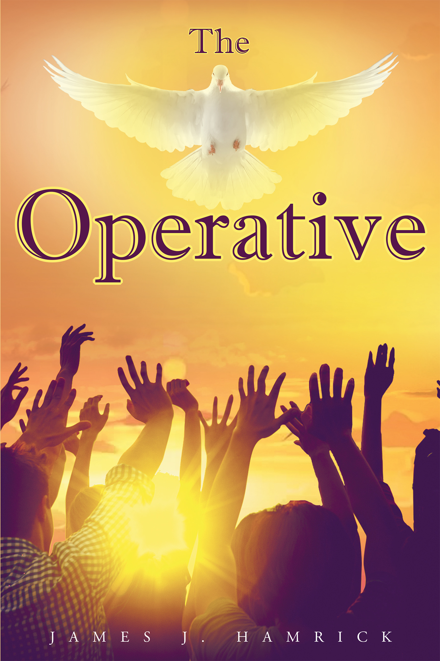 Cover image for The Operative