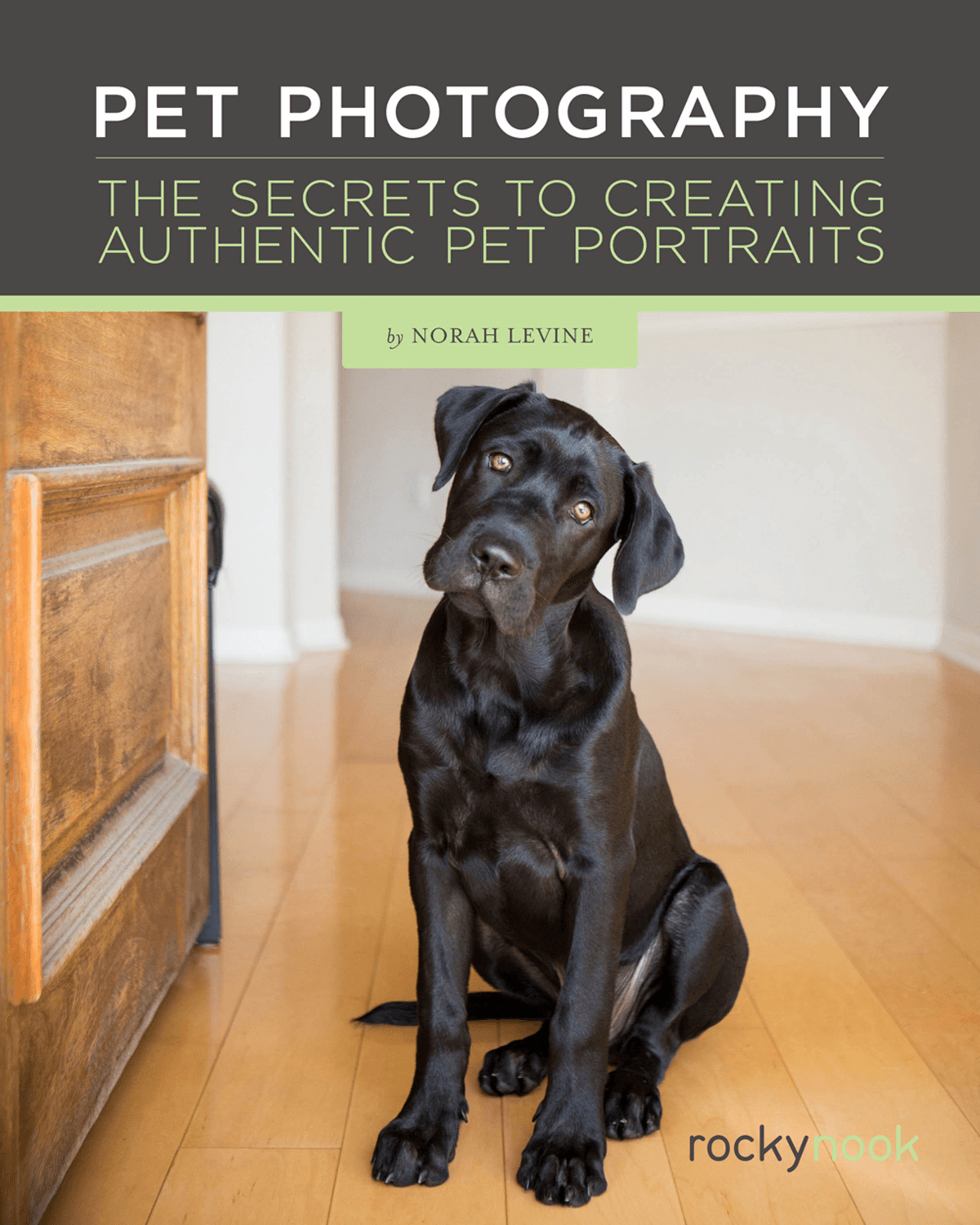 Cover image for Pet Photography