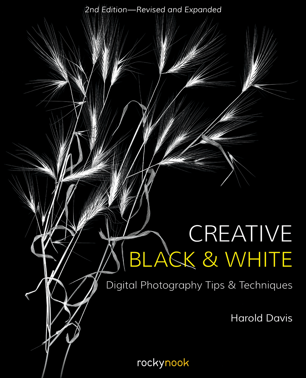 Cover image for Creative Black and White