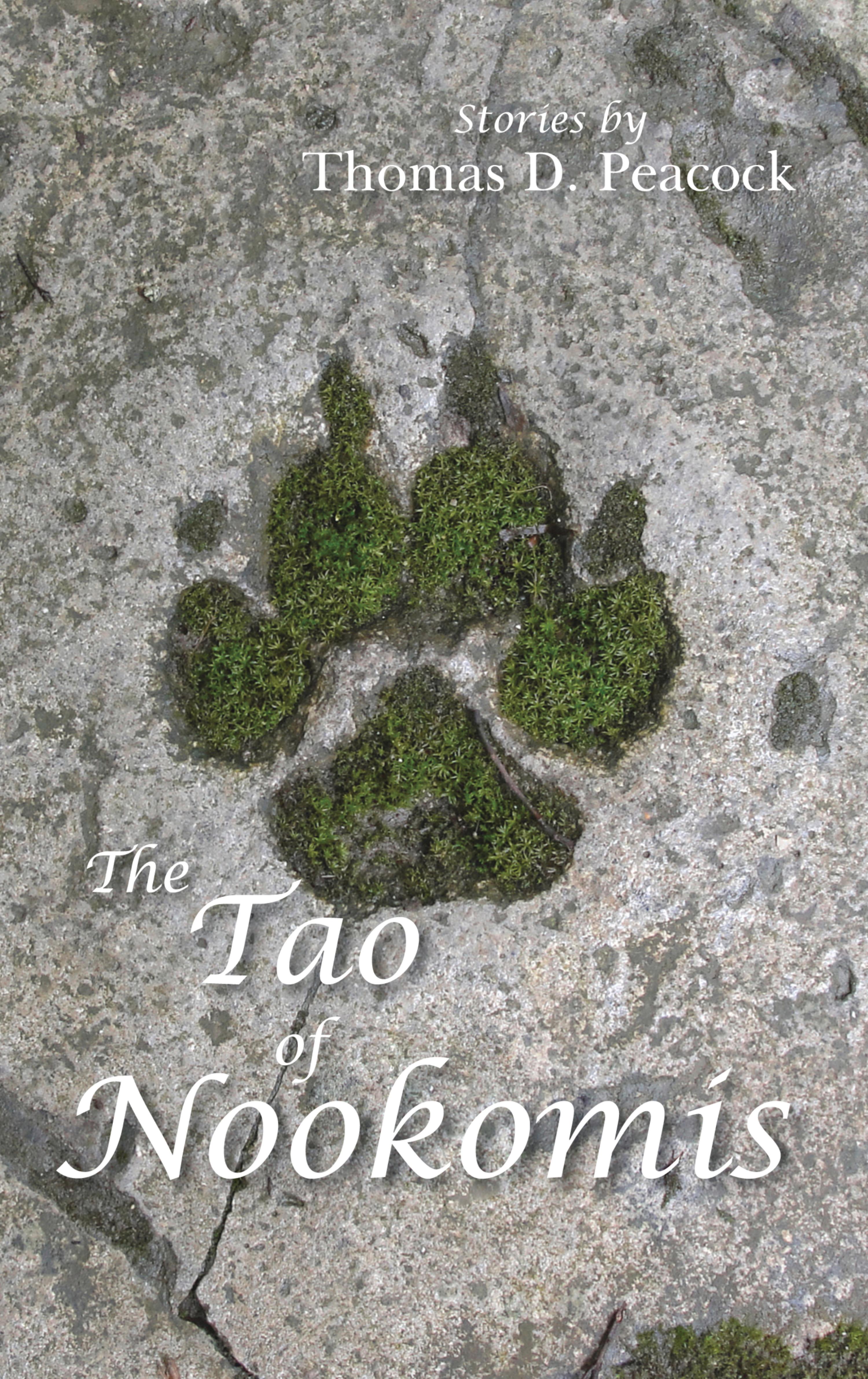 Cover image for The Tao of Nookomis