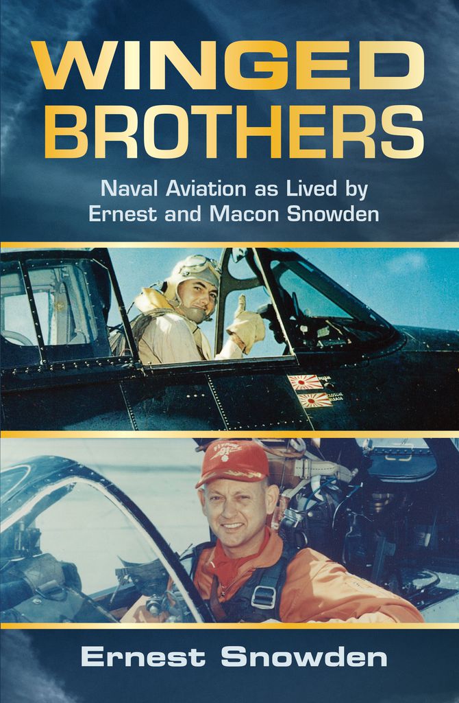Cover image for Winged Brothers