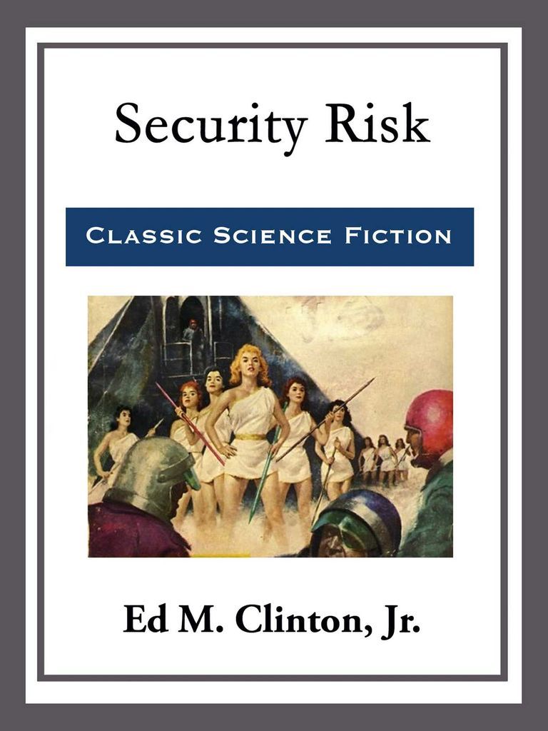 Cover image for Security Risk